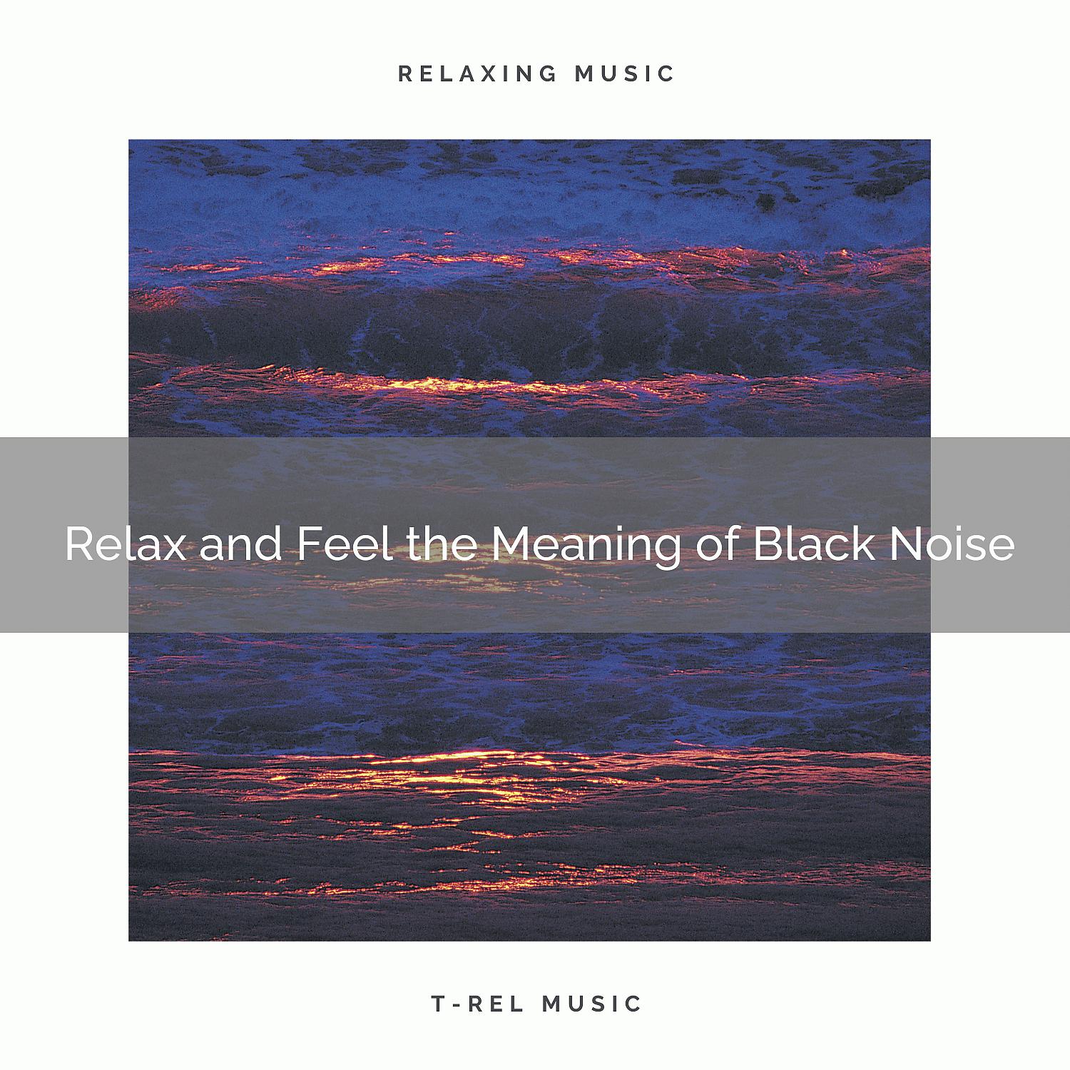 Постер альбома Relax and Feel the Meaning of Black Noise