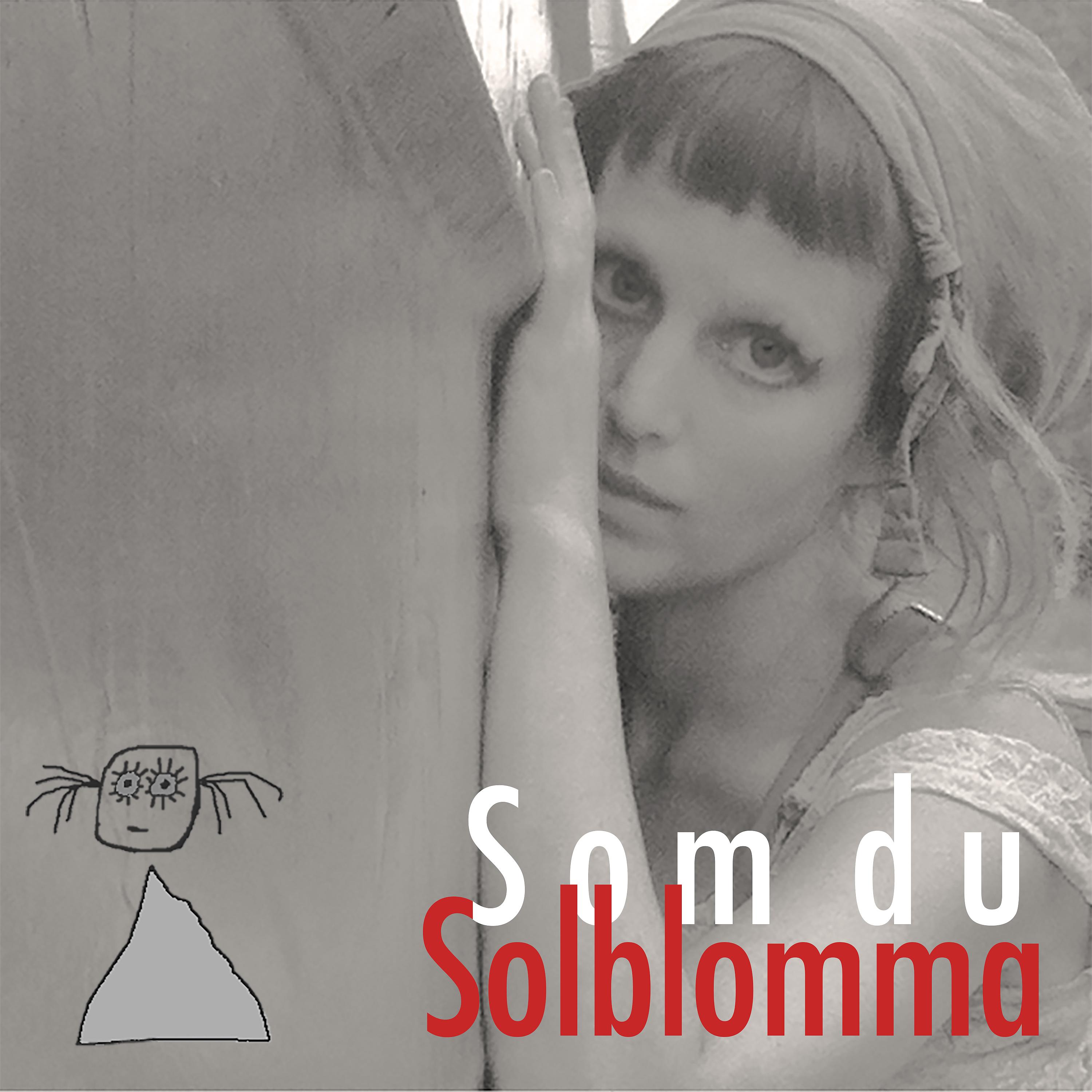 Постер альбома Som du