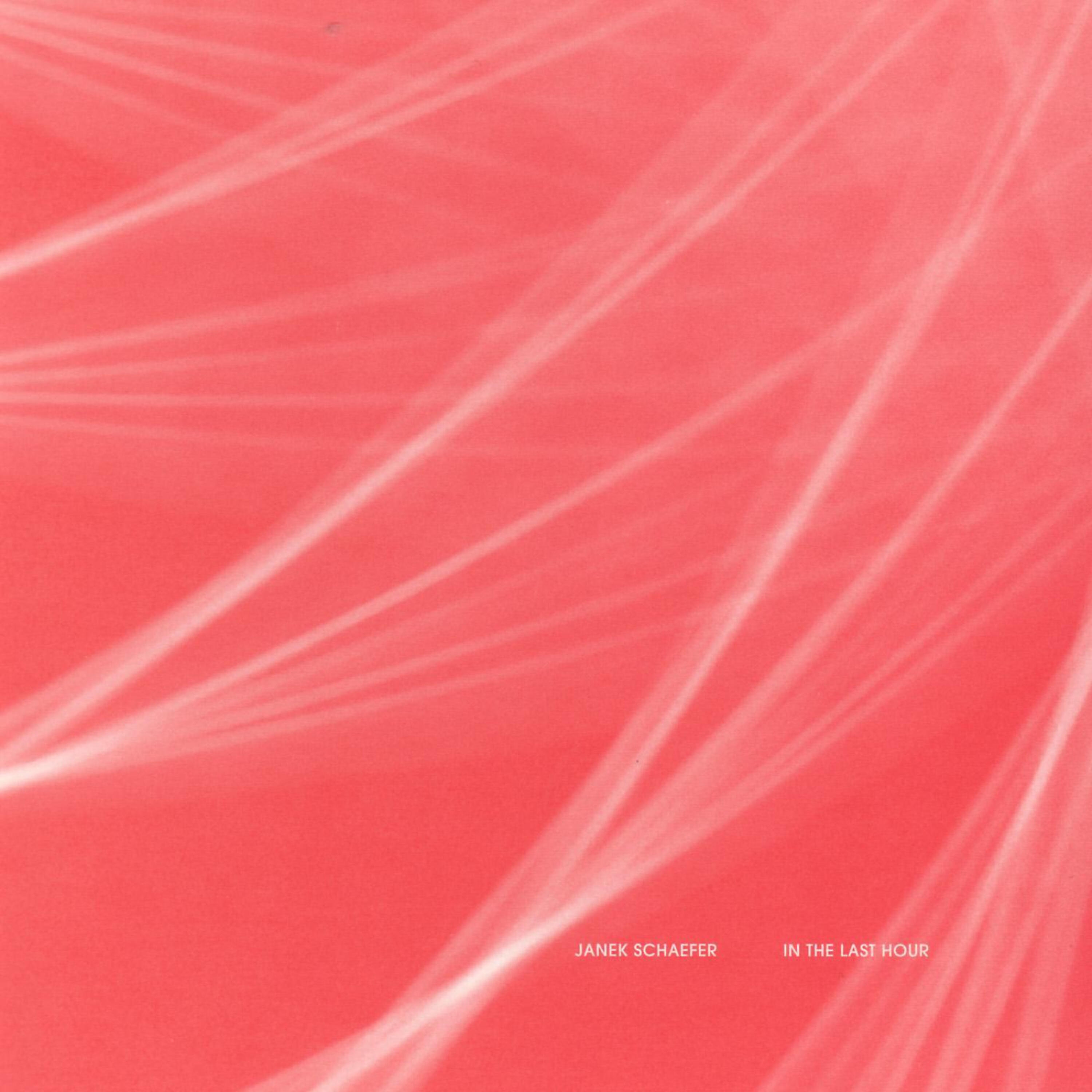 Janek Schaefer - Half Submerged By Each