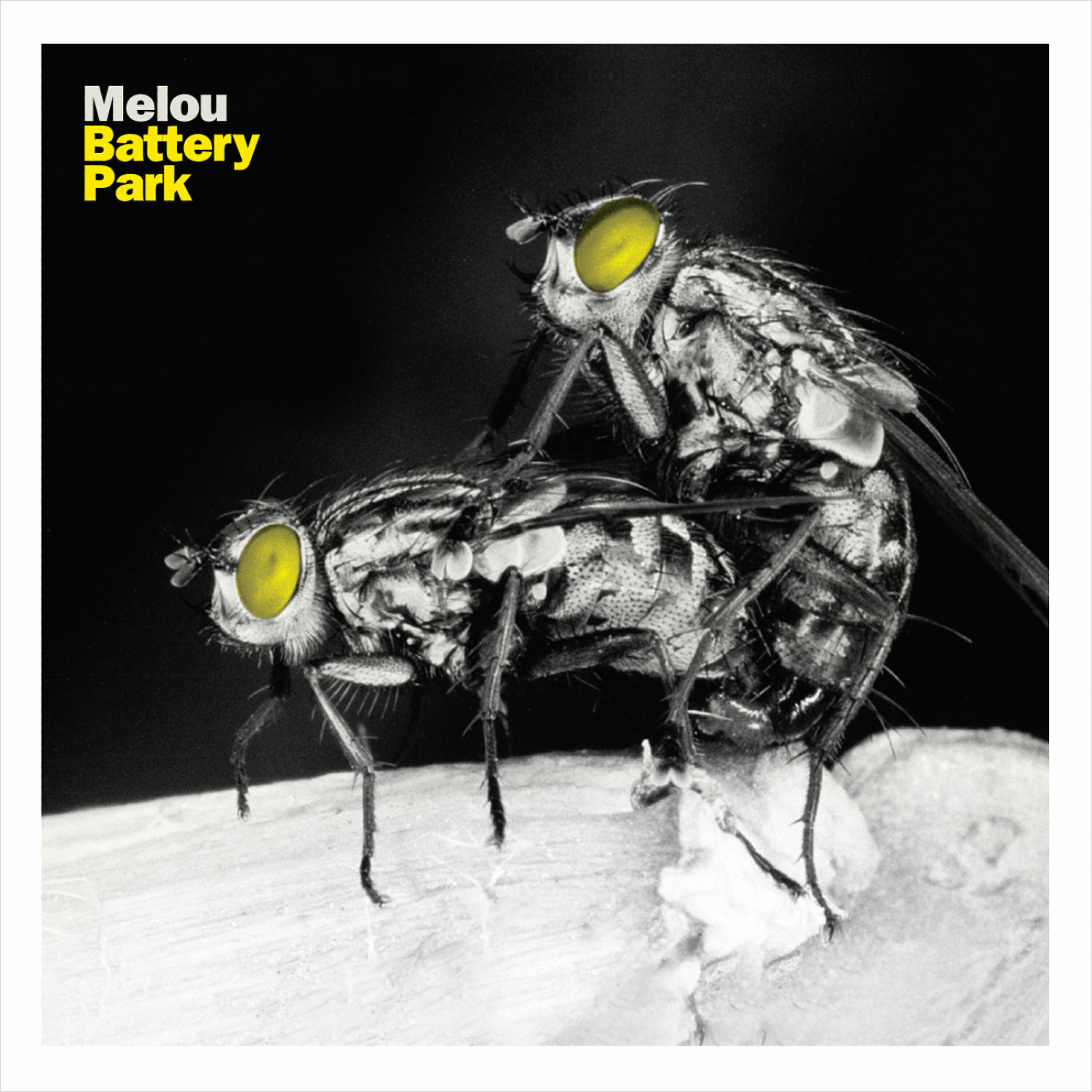 Melou - I'll Cut Your Hands Off
