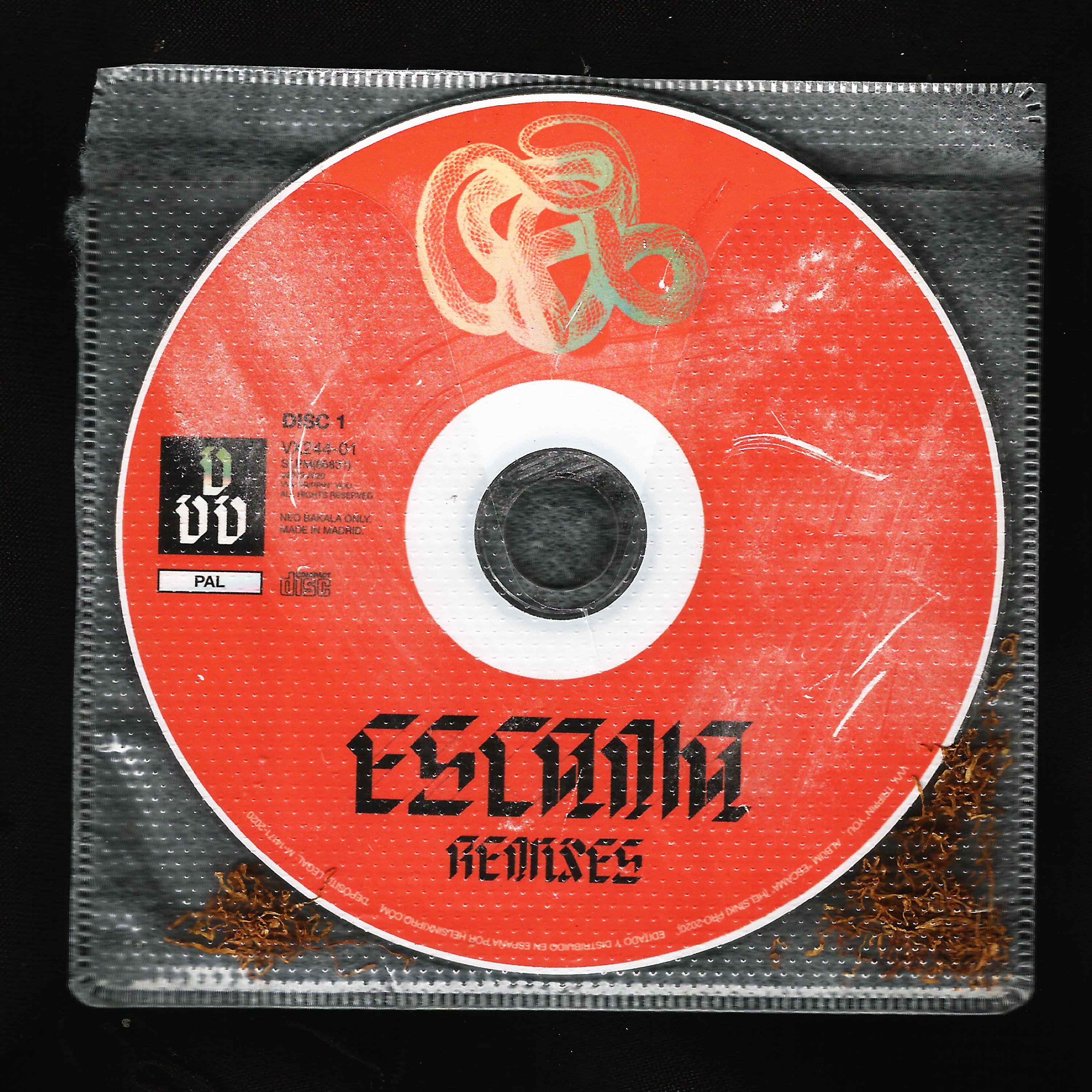 Постер альбома Los Bailes Perdidos (Escama Remixes)
