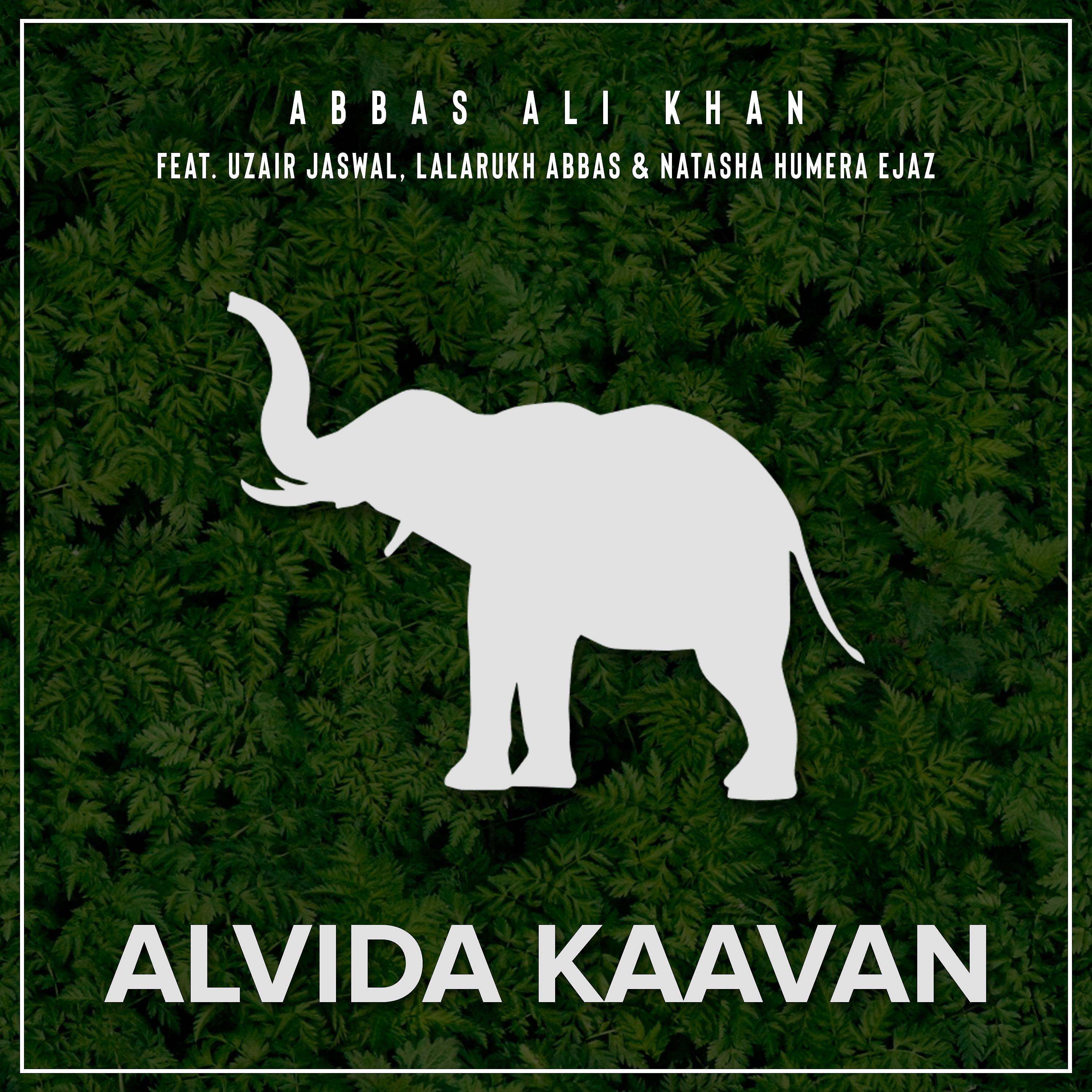 Постер альбома Alvida Kaavan