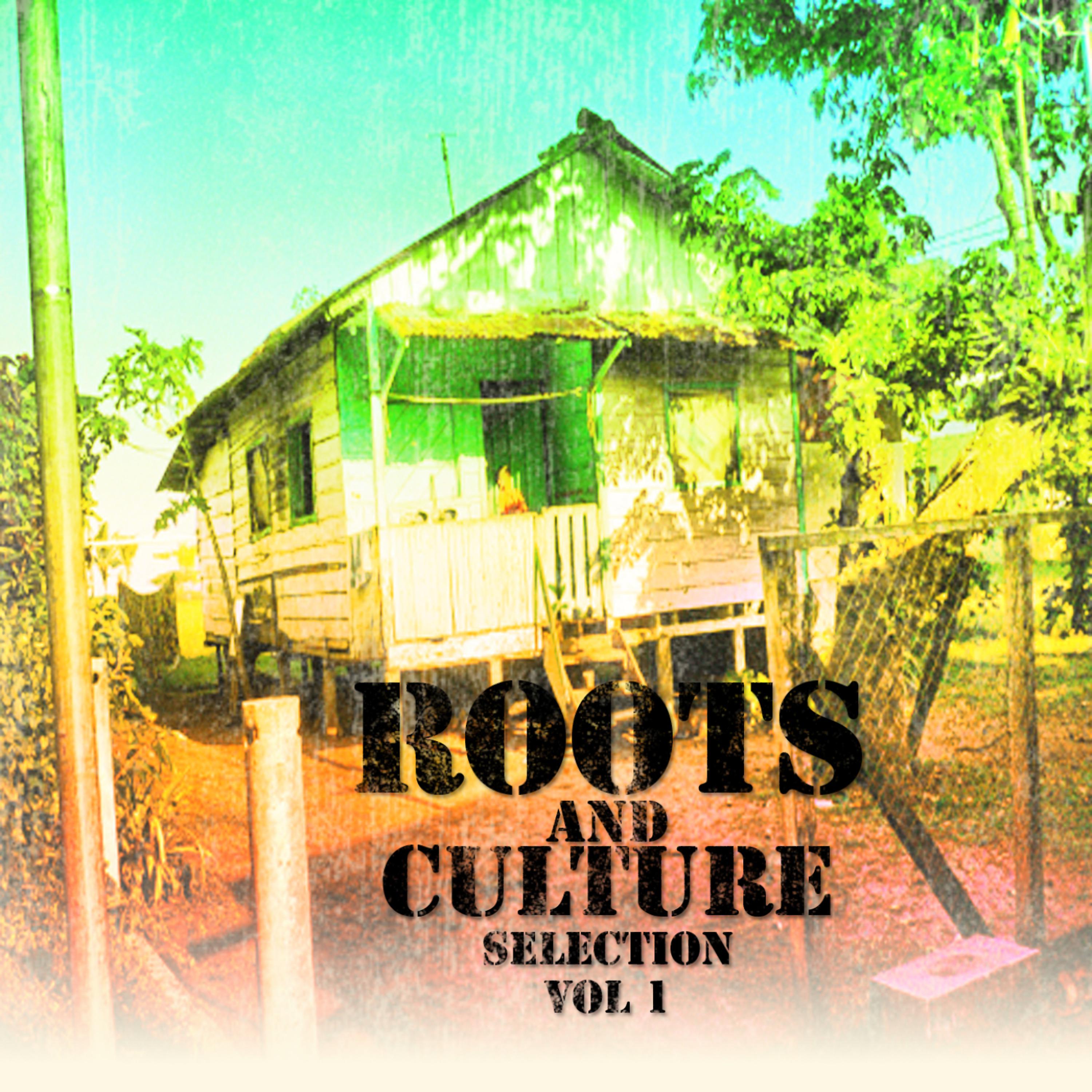 Постер альбома Roots & Culture Selection Vol 1 Platinum Edition