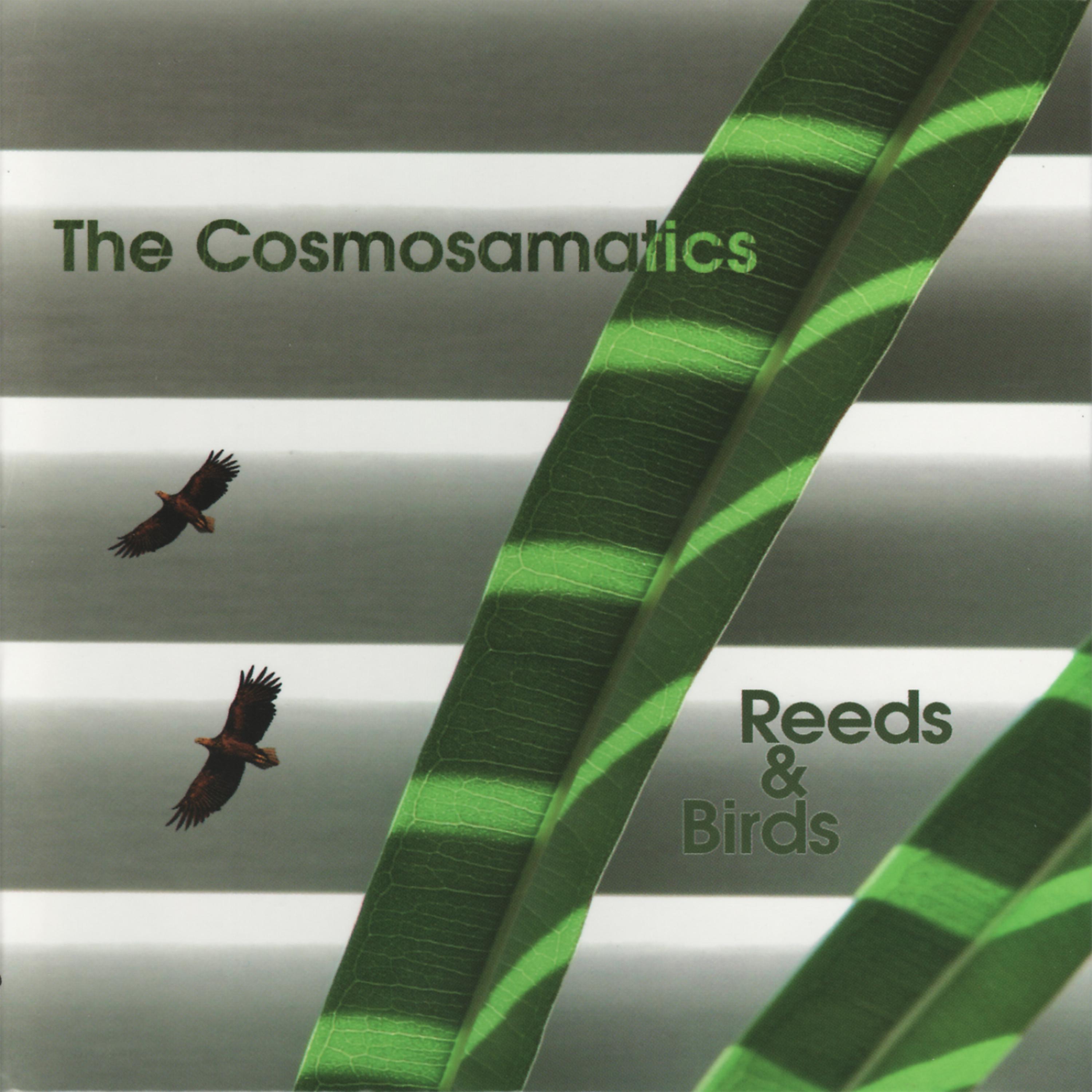 Постер альбома Reeds and Birds