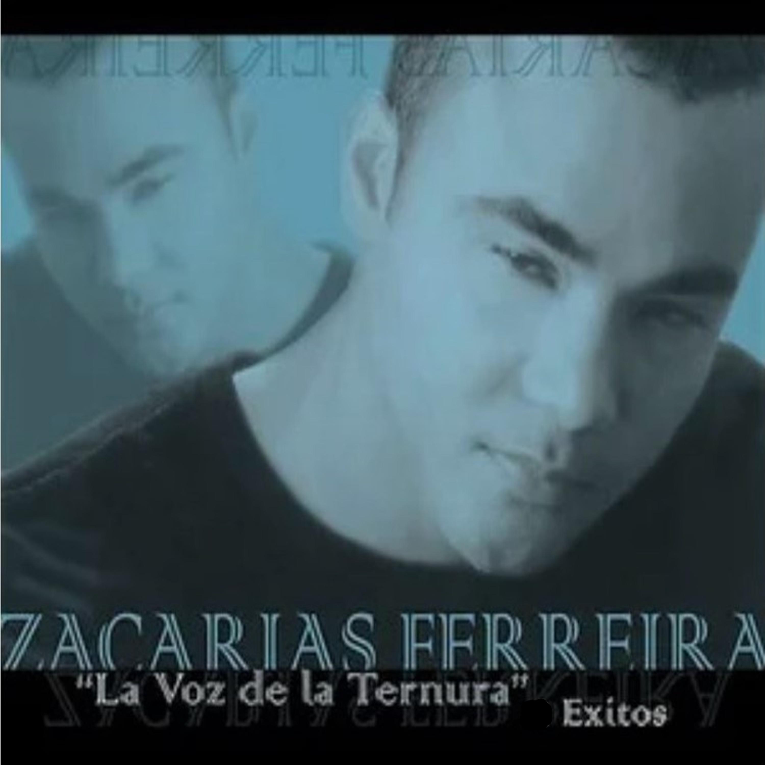 Постер альбома La Voz de la Tenura: Exitos