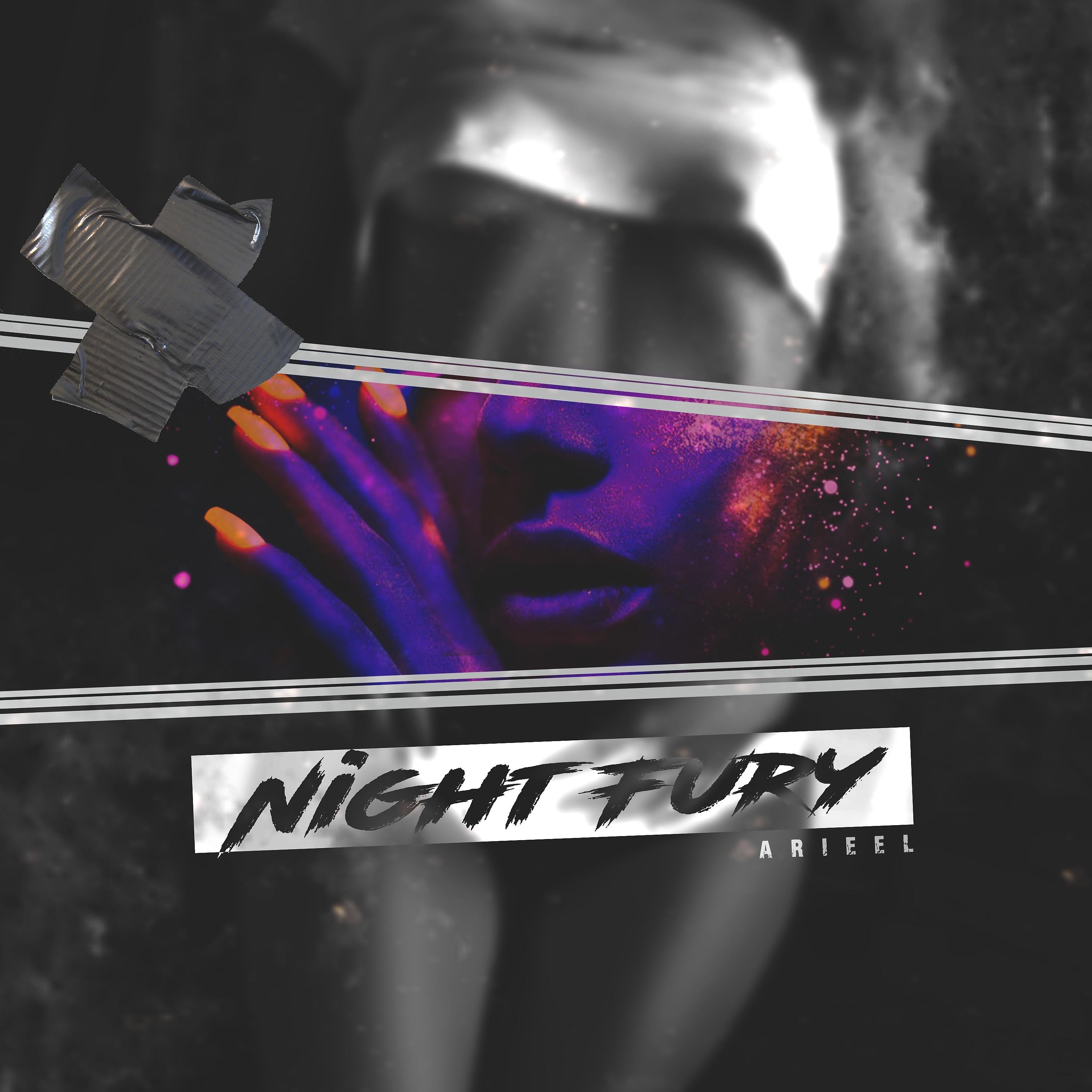 Постер альбома Night Fury