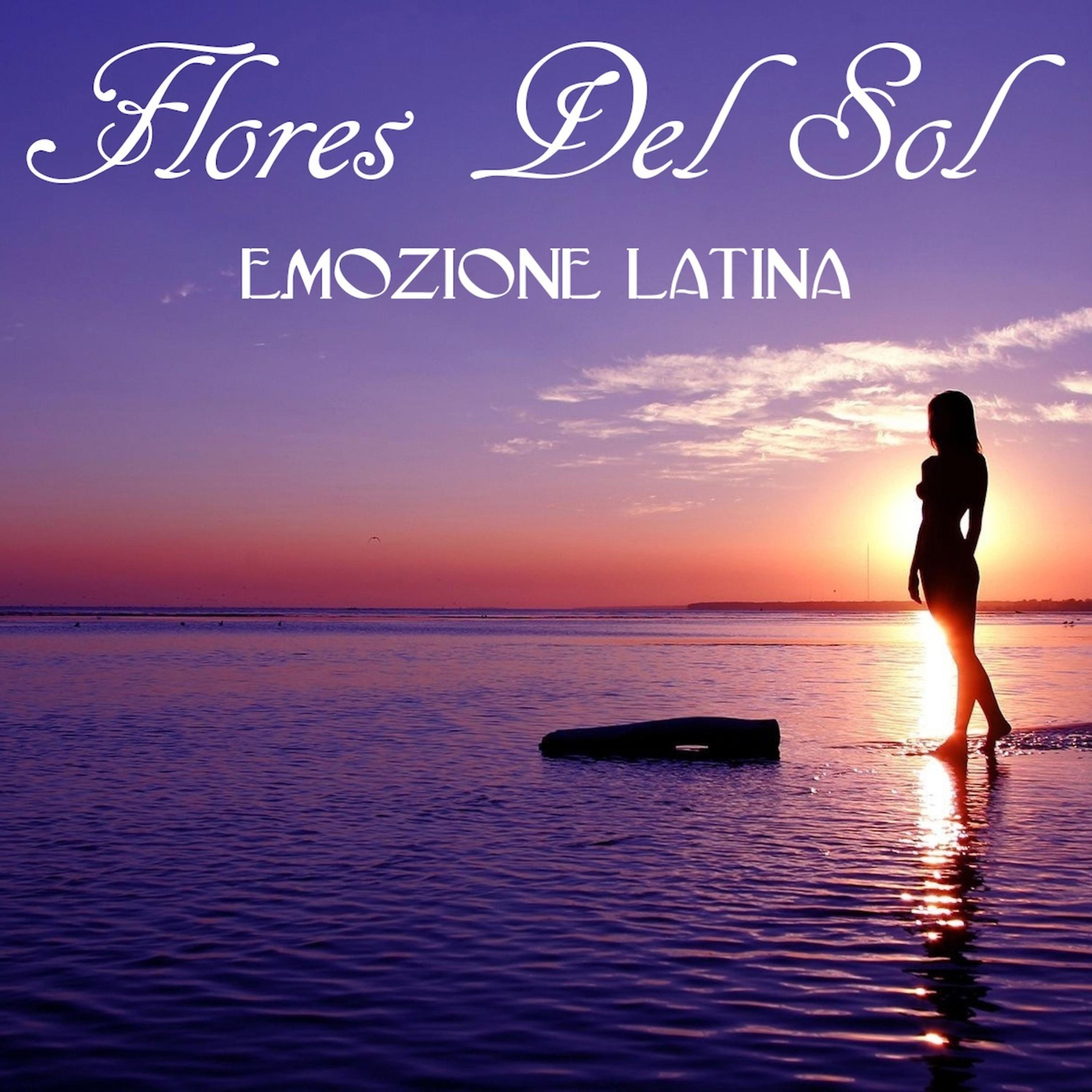 Постер альбома Emozione Latina