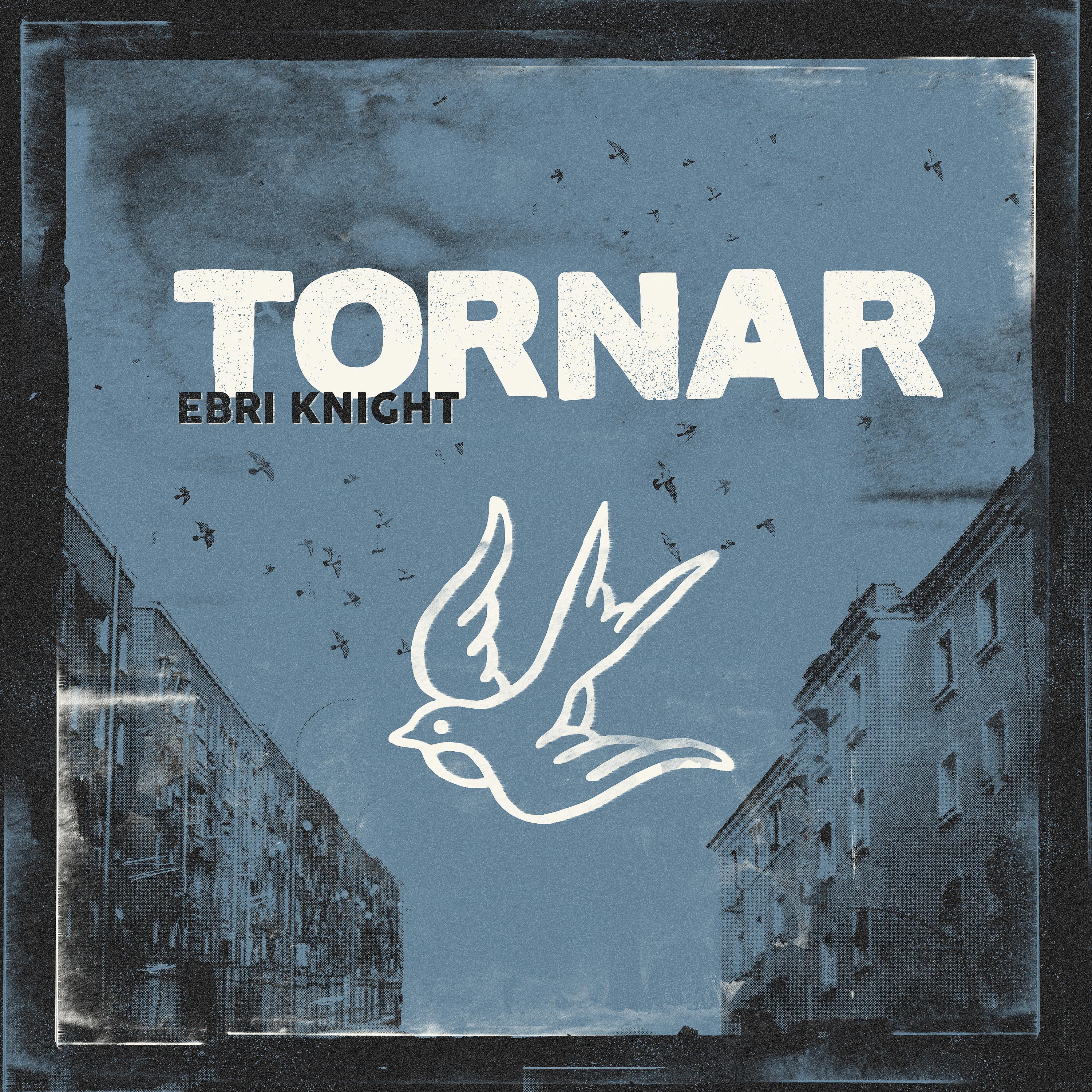 Постер альбома Tornar