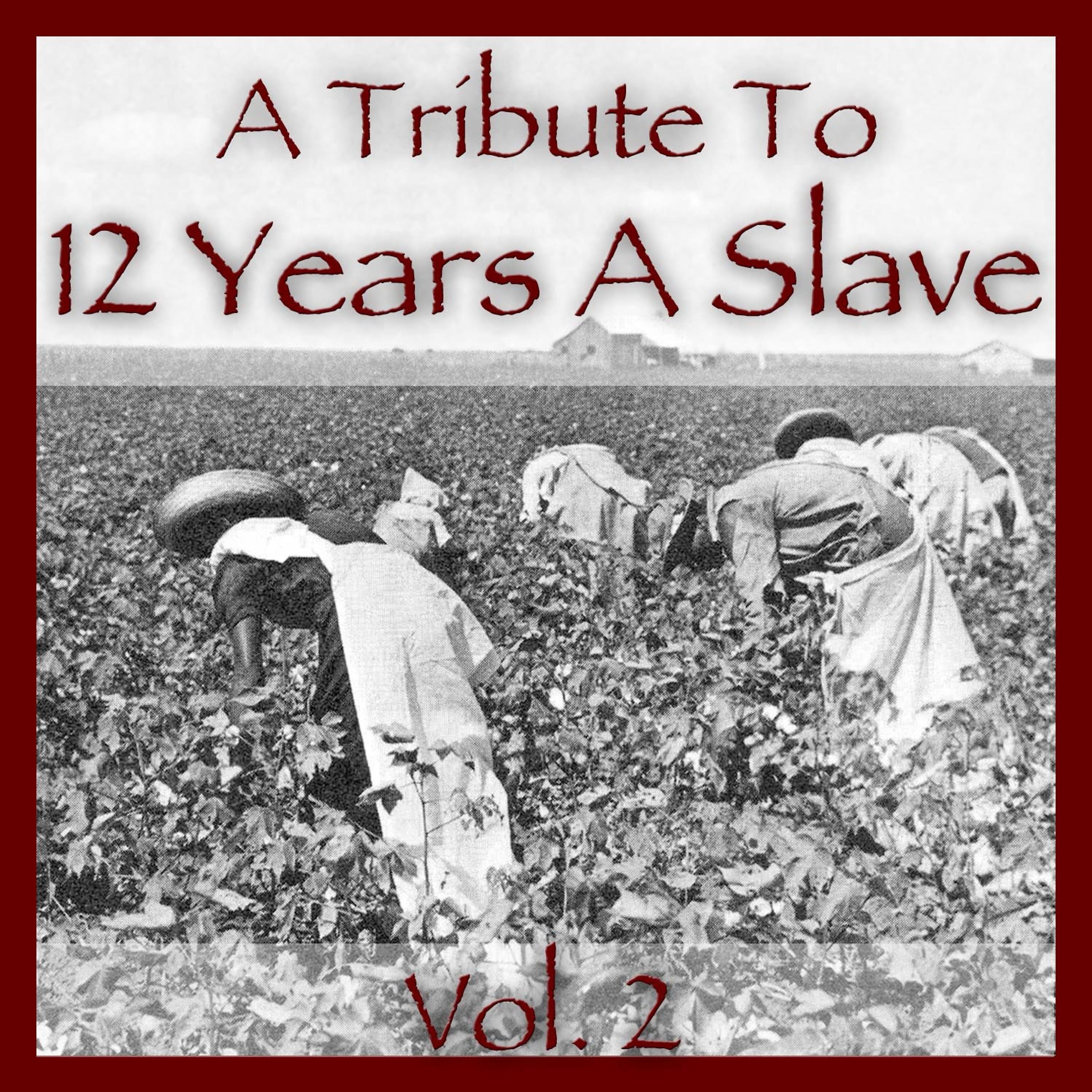 Постер альбома A Tribute to 12 Years a Slave Vol. 2
