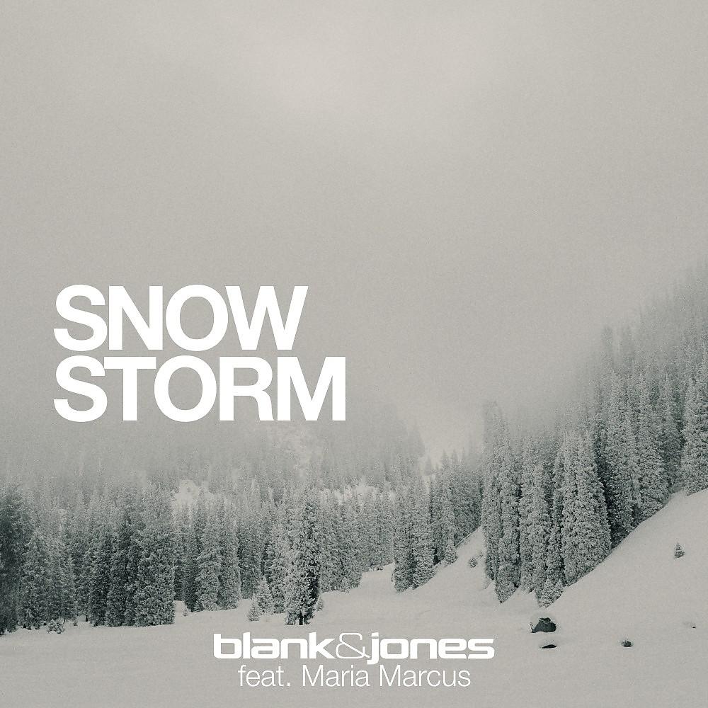 Постер альбома Snow Storm (Chilltronica Mix)