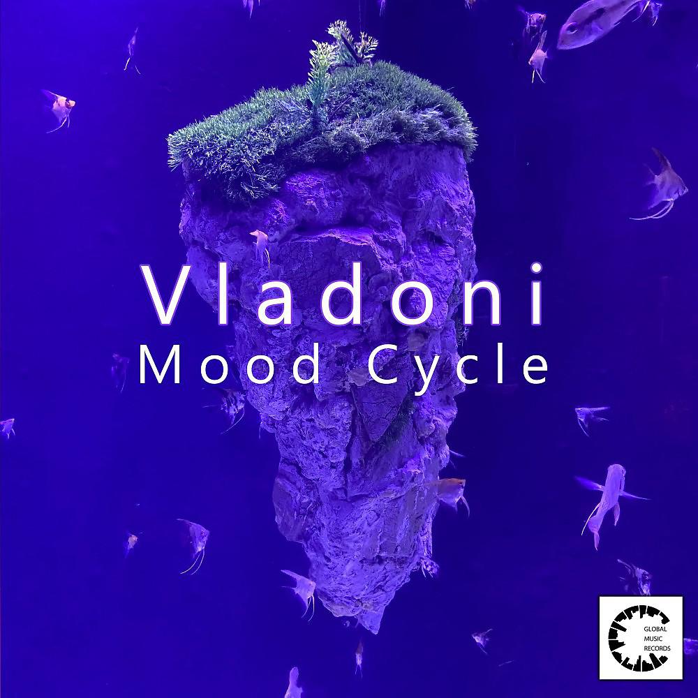 Постер альбома Mood Cycle