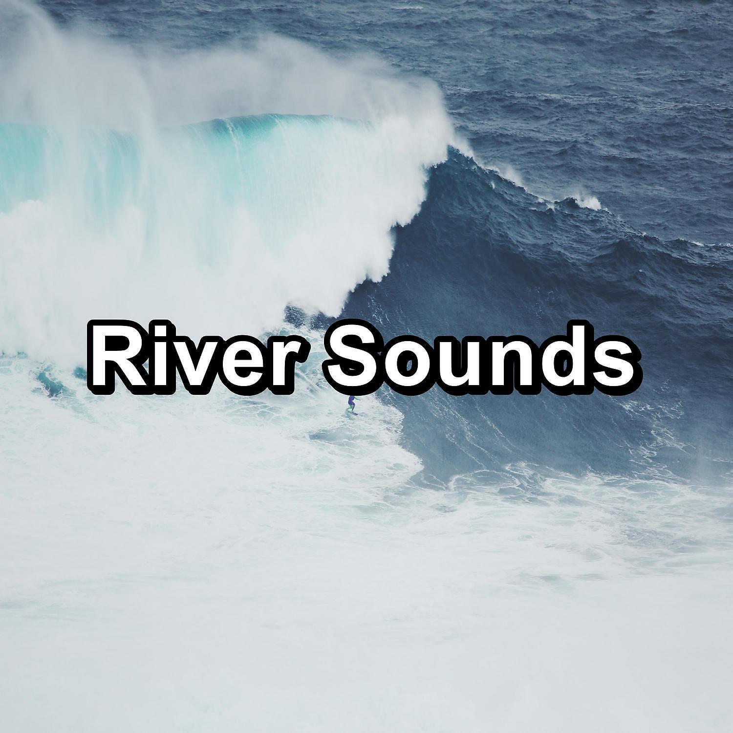 Alpha Brain Waves - Ocean Wave Sounds With Nature Sounds 10 Hours of Deep Sleep