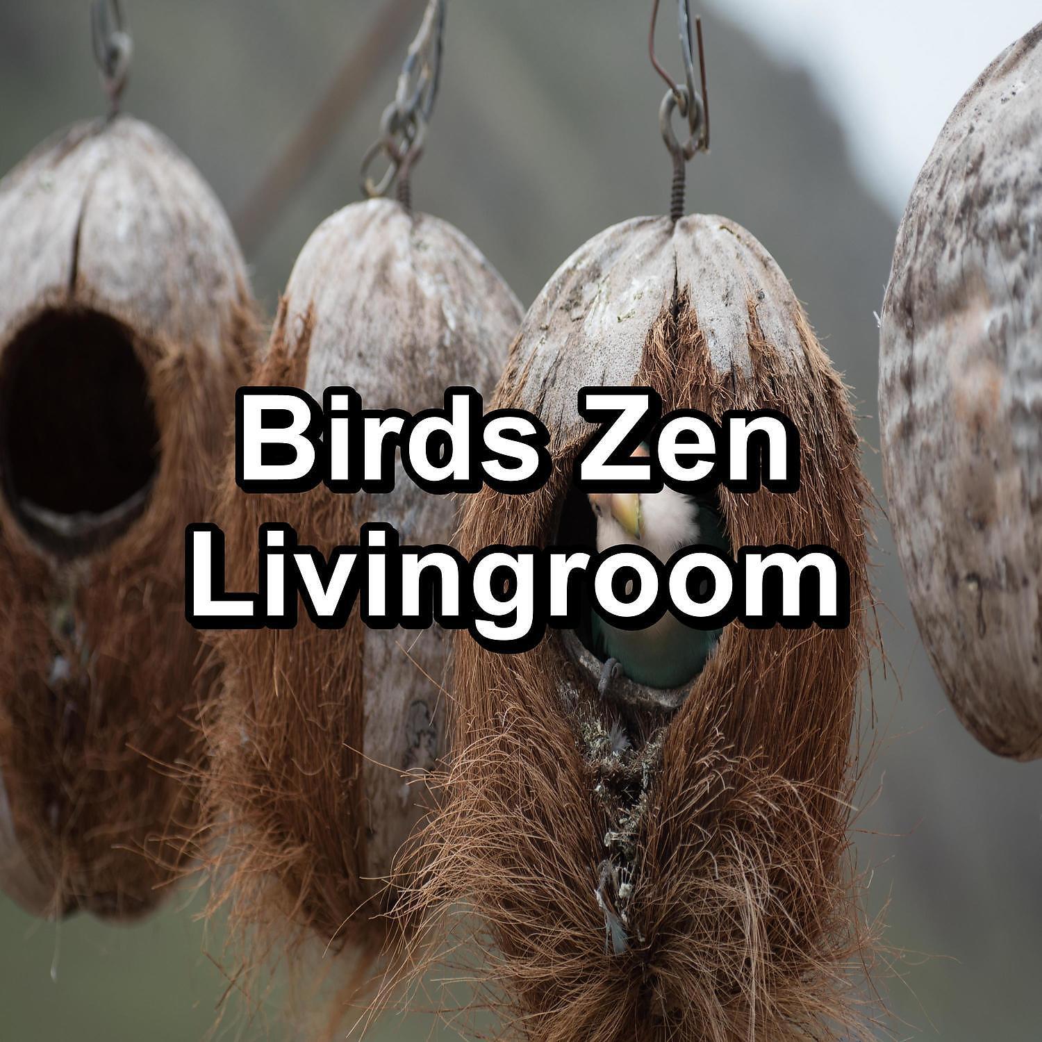 Sleep - ASMR Bird Sounds For Deep Sleep Loop your Whole Sleep