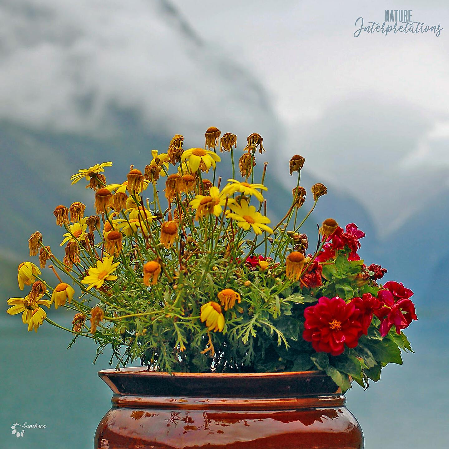 Chillelektro - Vyas