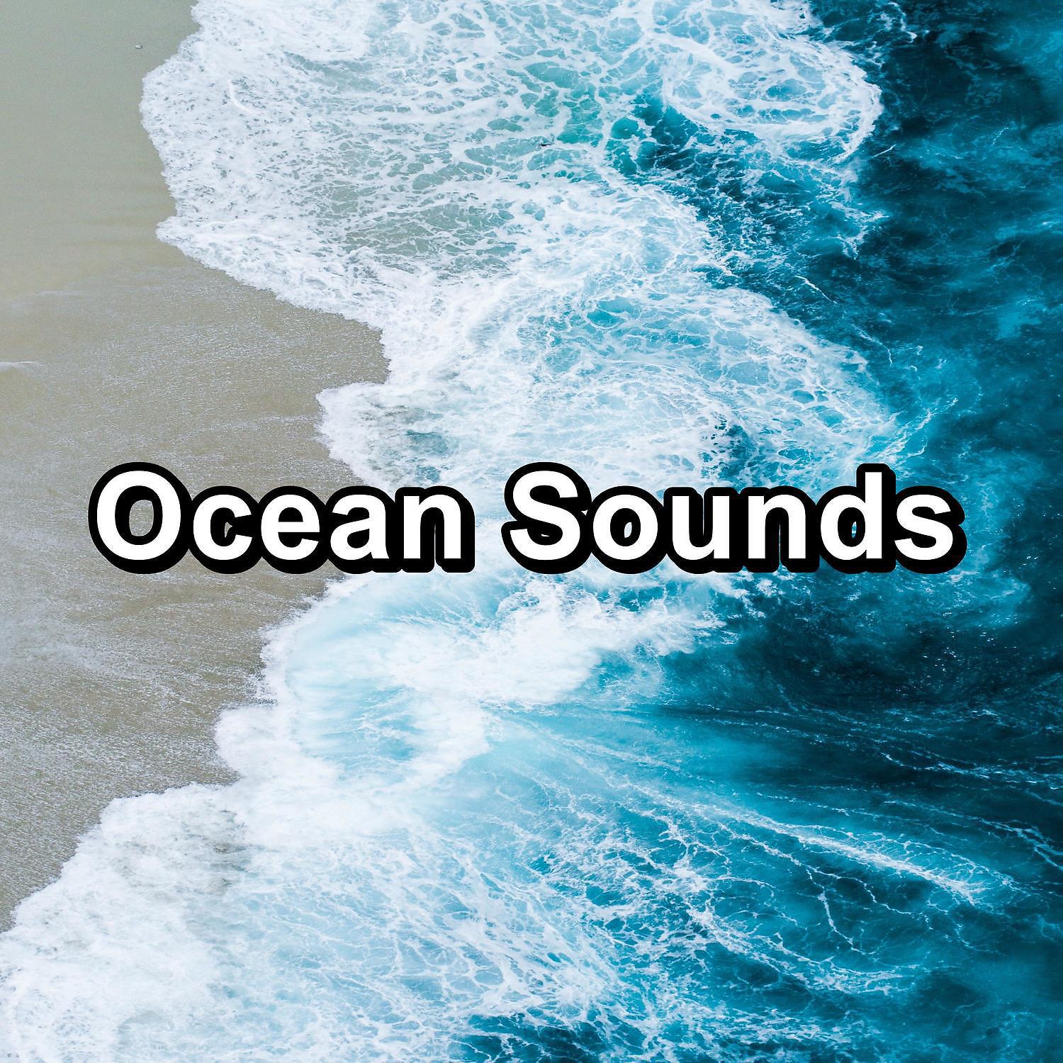 Calm Ocean Sound - Ocean SoundsFor Deep Sleep For Healthy Sleep To Help with Meditation