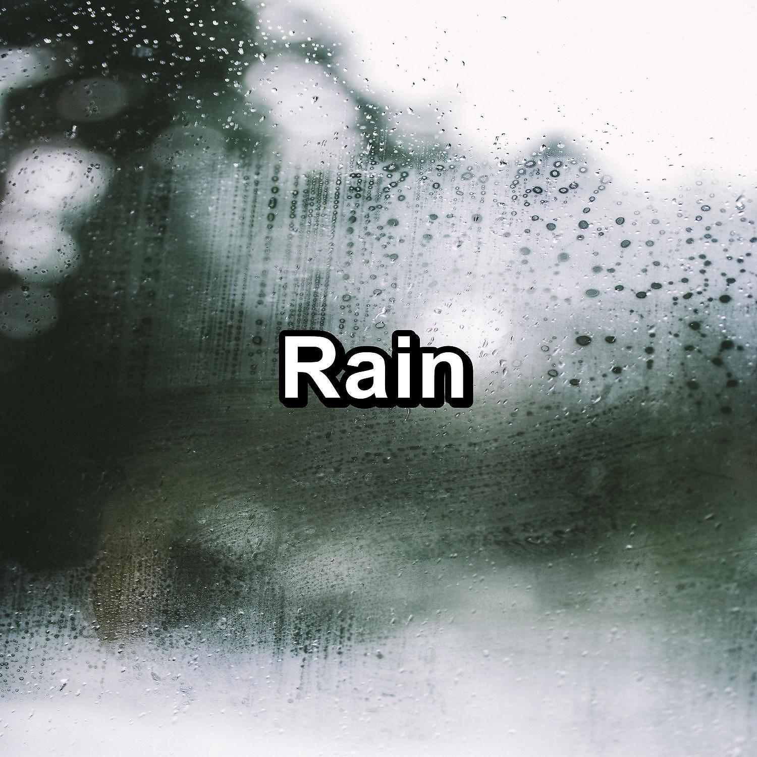 Sleep Songs 101 - Cozy Rain Droplets Noise for Trouble Sleeping