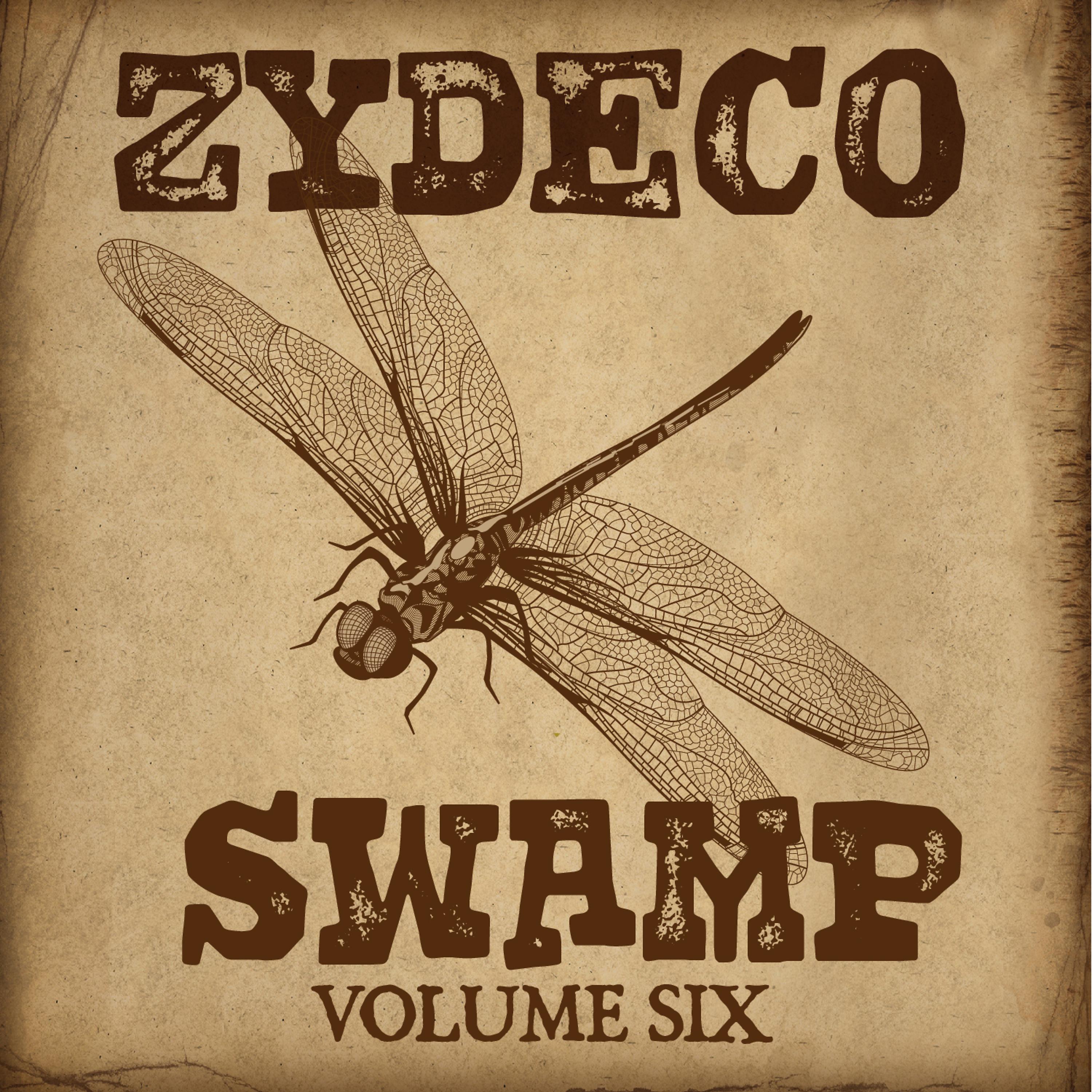 Постер альбома Zydeco Swamp Vol. 6
