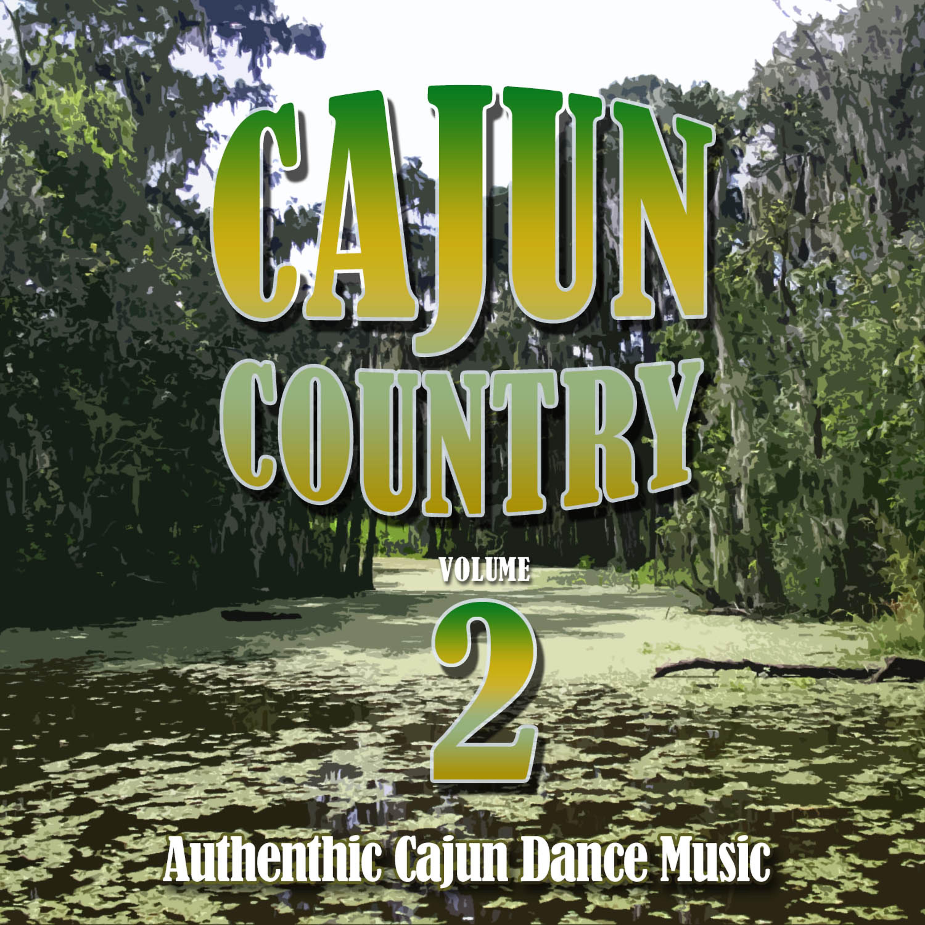 Постер альбома Cajun Country, Vol. 2