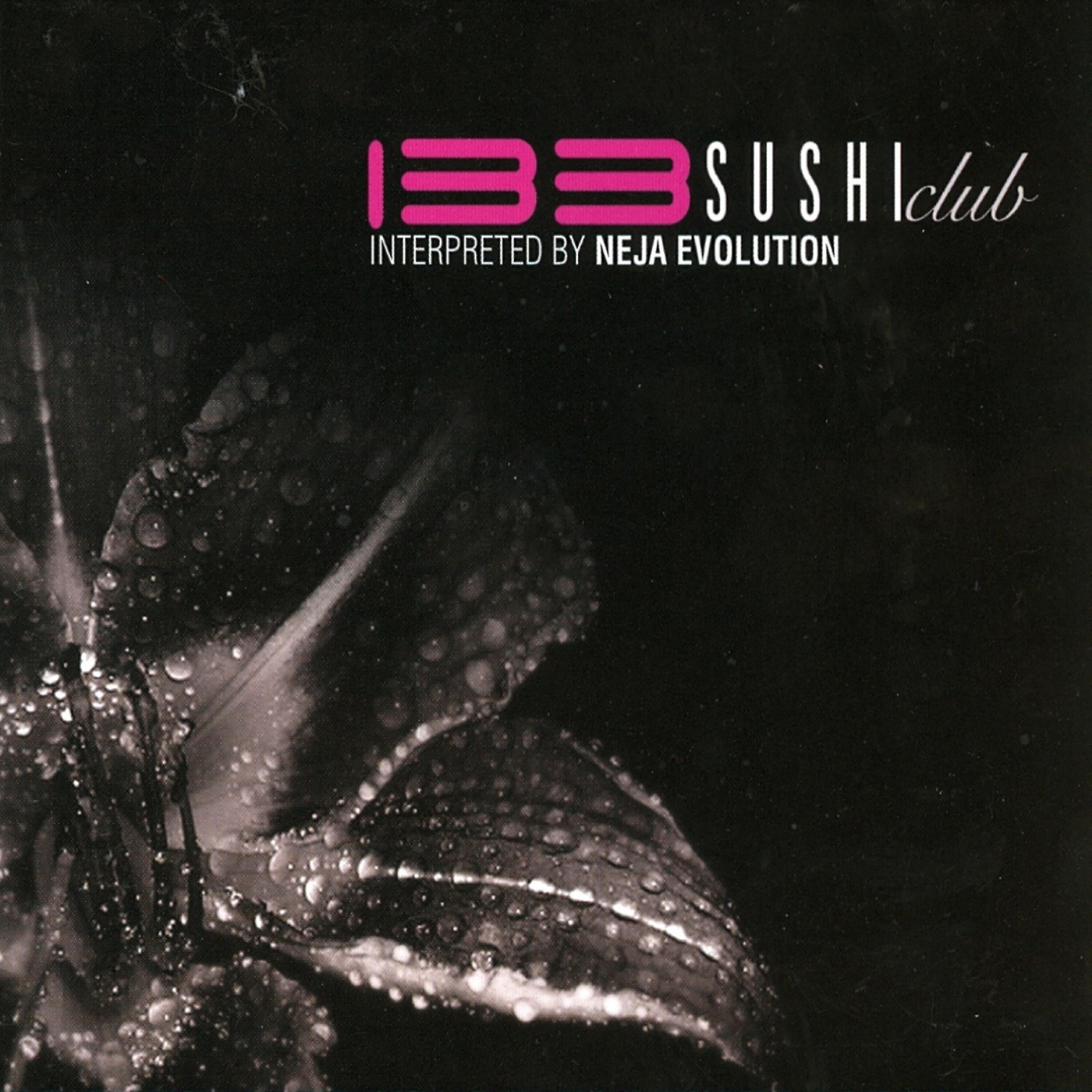 Neja Evolution - Right In The Night