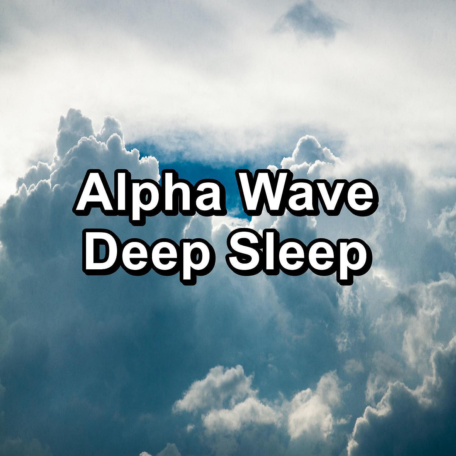 Sleep Sound Library - Womb Sounds Bear Loopable