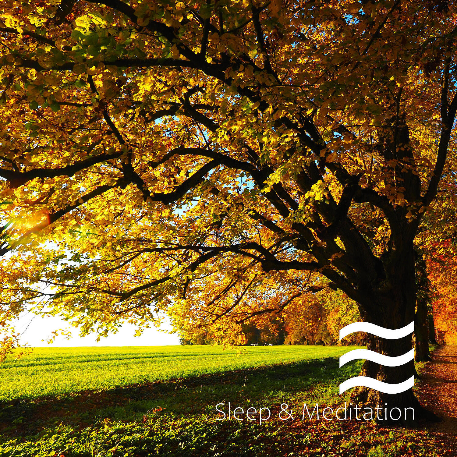 Arbor Nature and Noises - Forest Soughs with Noises for Kids Sleep