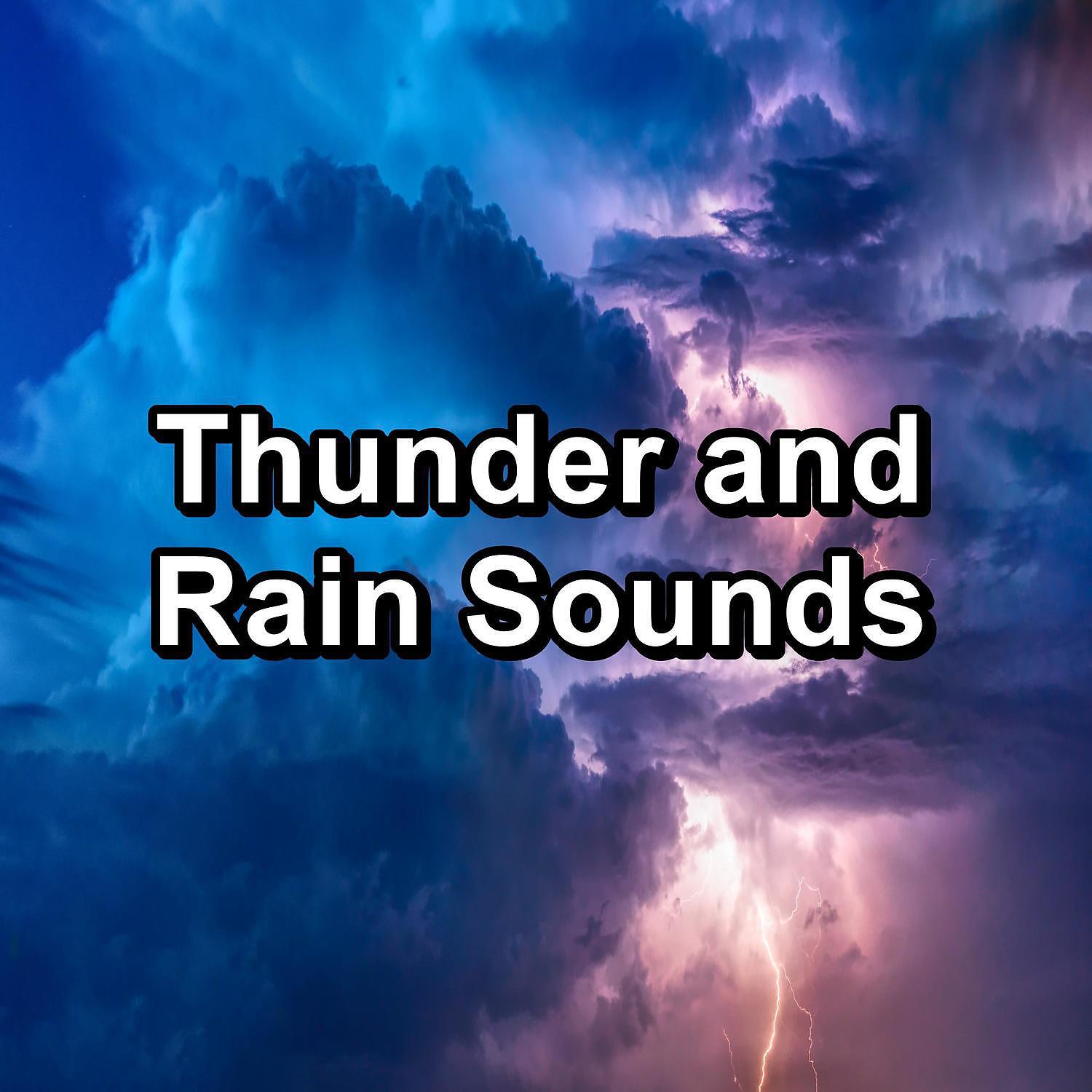 Nature Recordings - Cozy Rain and Nature Sounds Pure Sounds to Help Insomnia