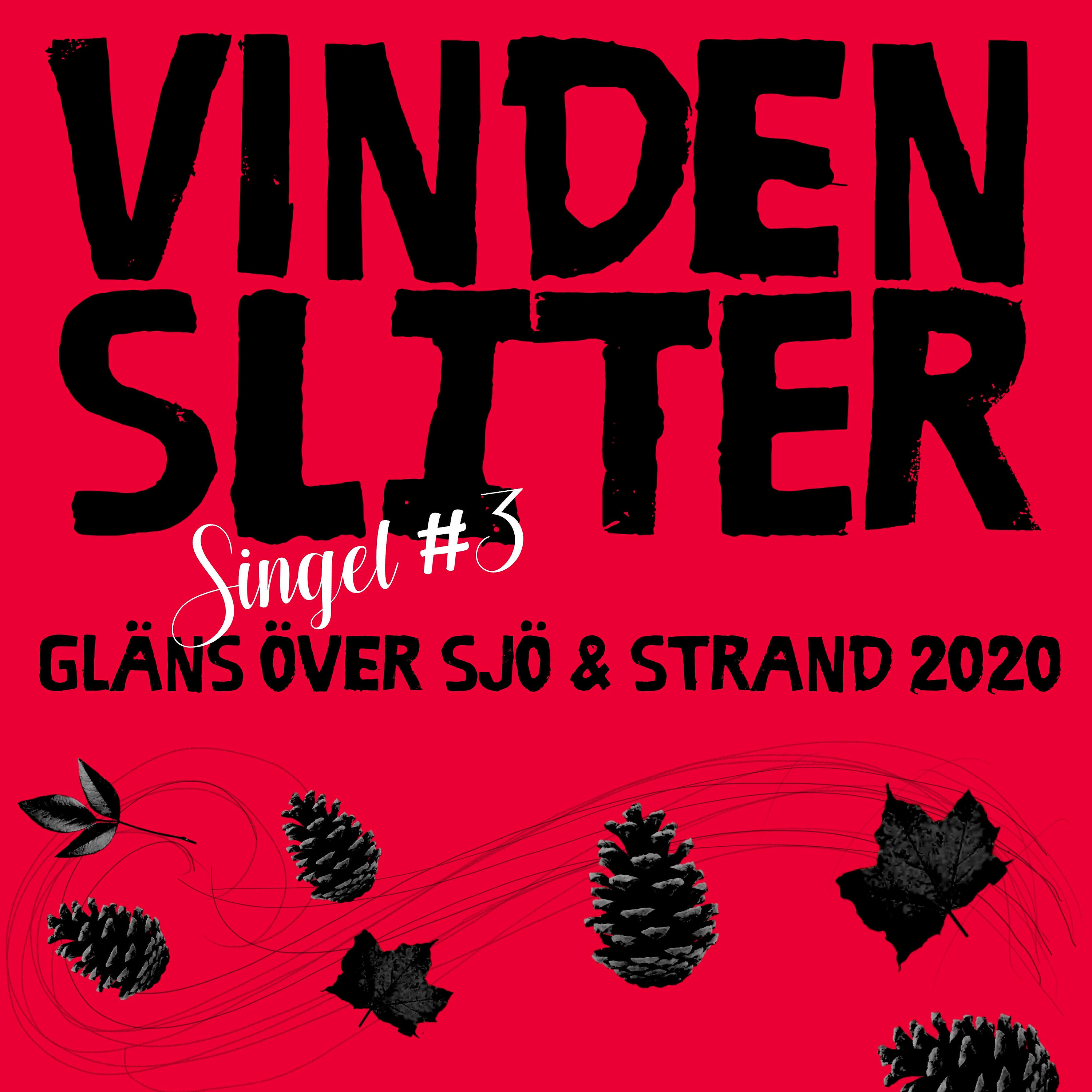 Gläns över sjö - Vinden sliter (singel #3)
