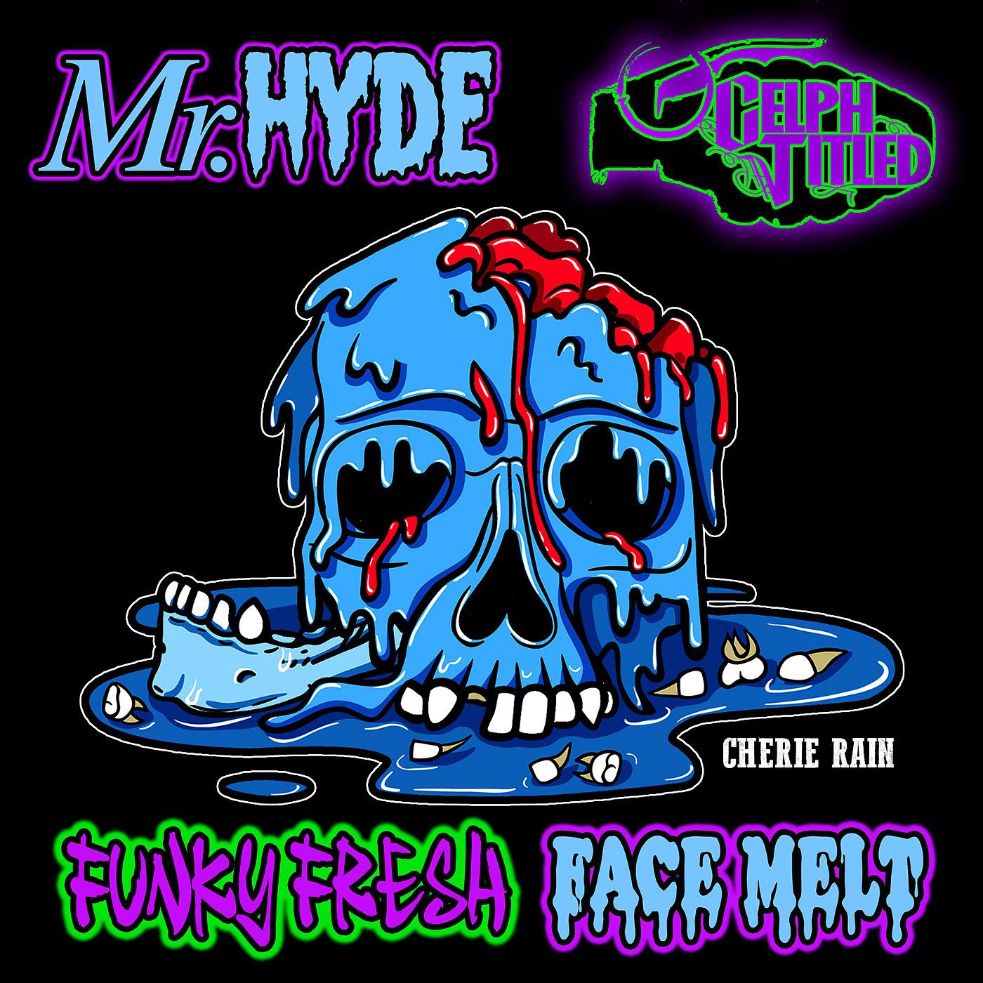 Постер альбома Funky Fresh Face Melt