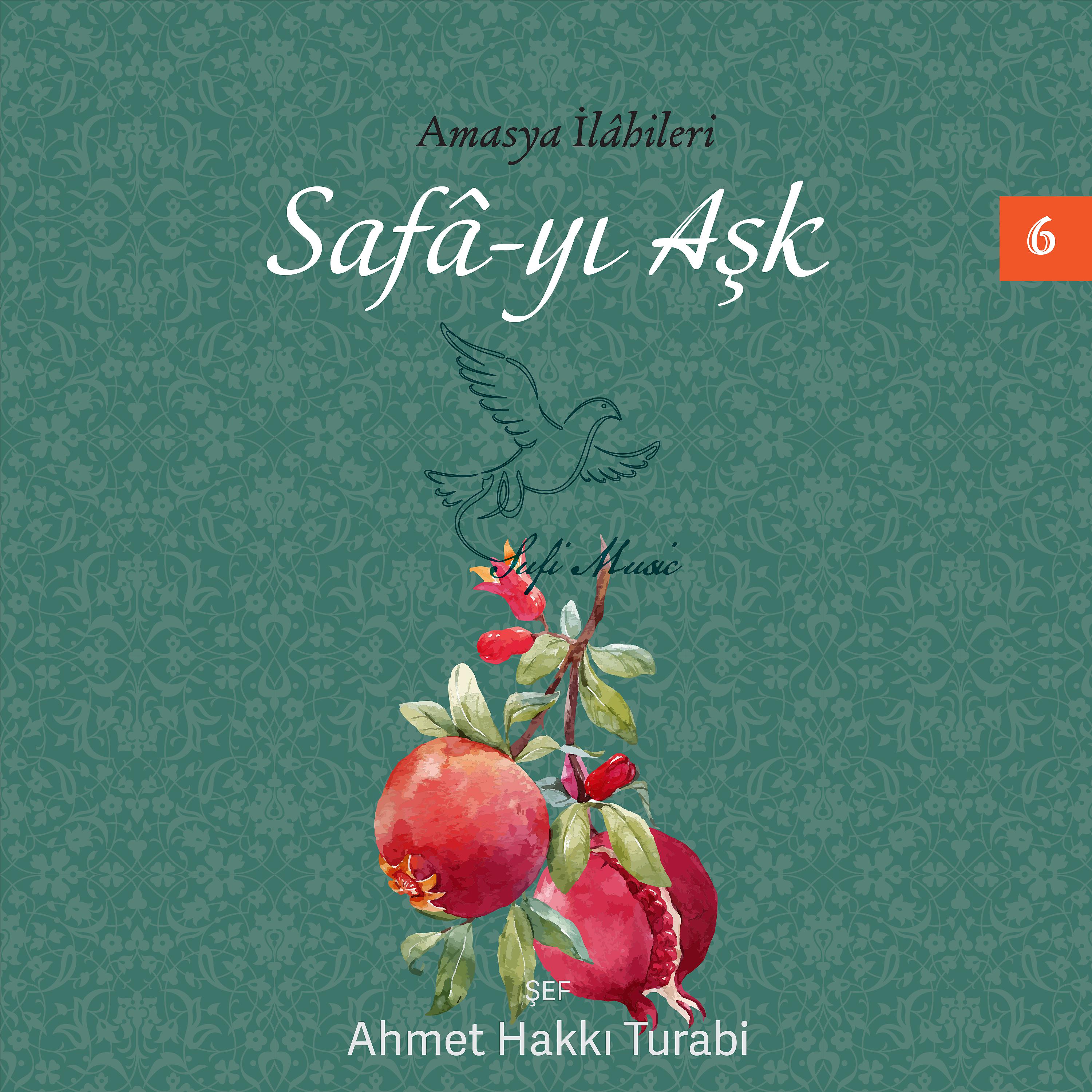 Постер альбома Safa-yı Aşk, Vol.6