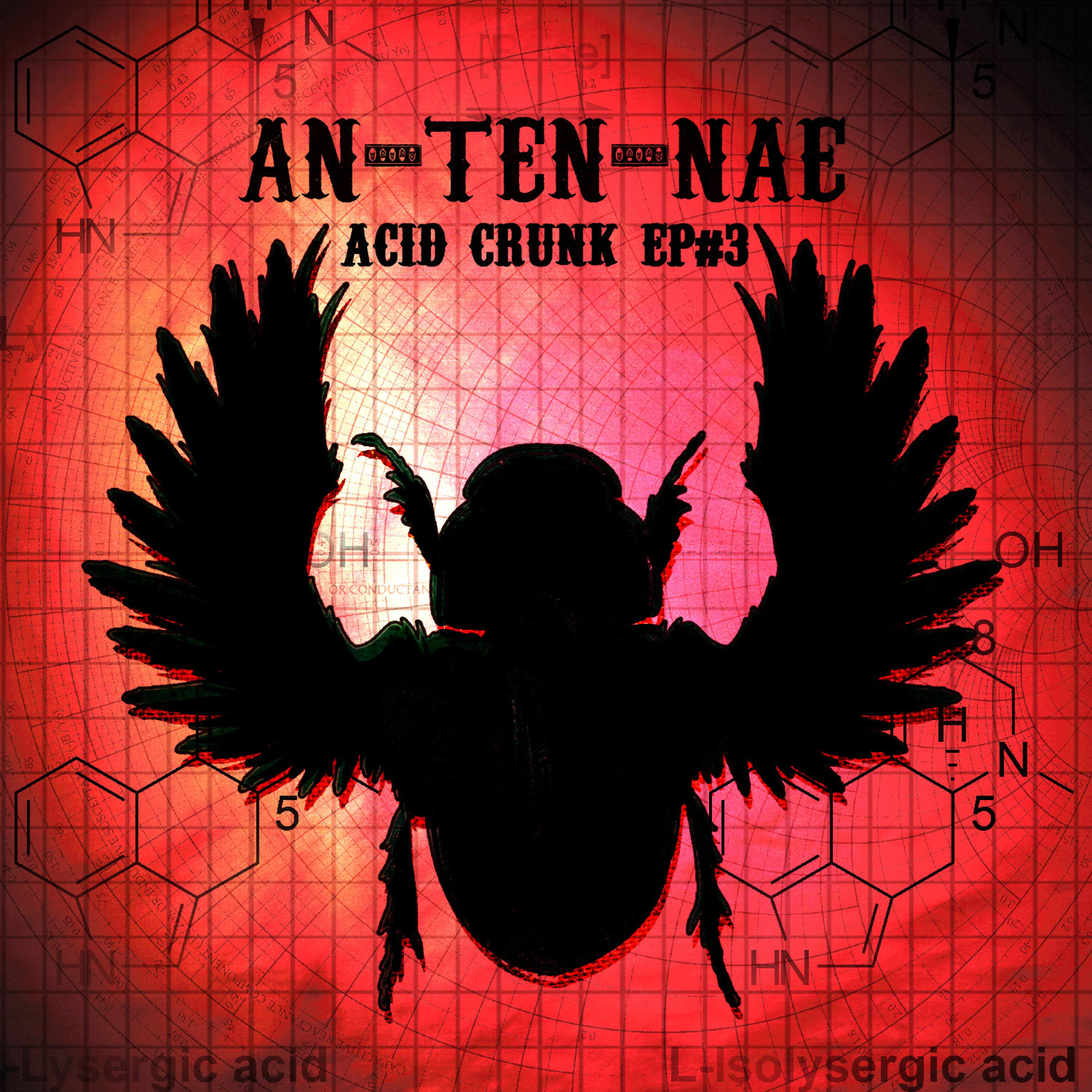 Постер альбома Acid Crunk EP 3