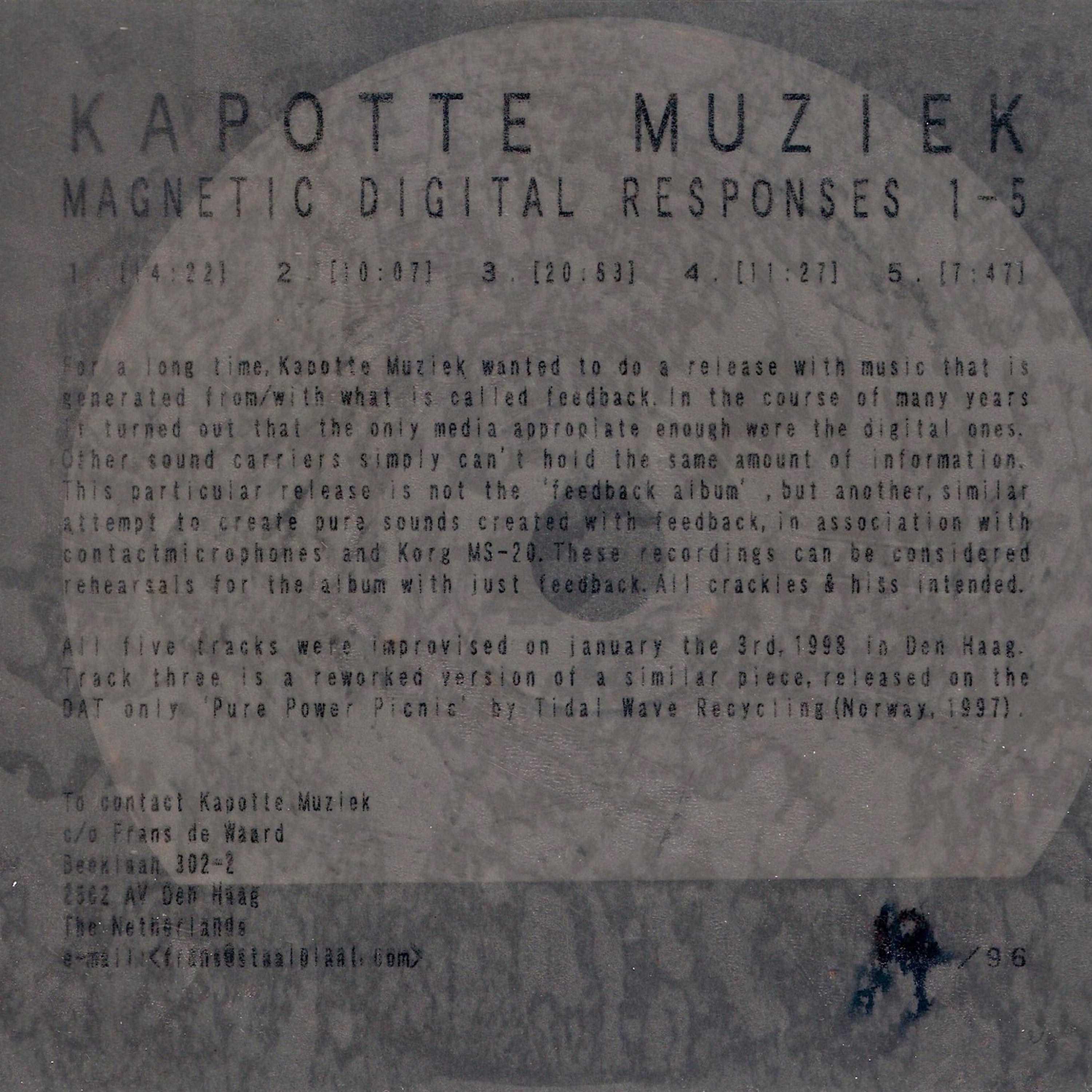 Постер альбома Digital Magnetic Responses