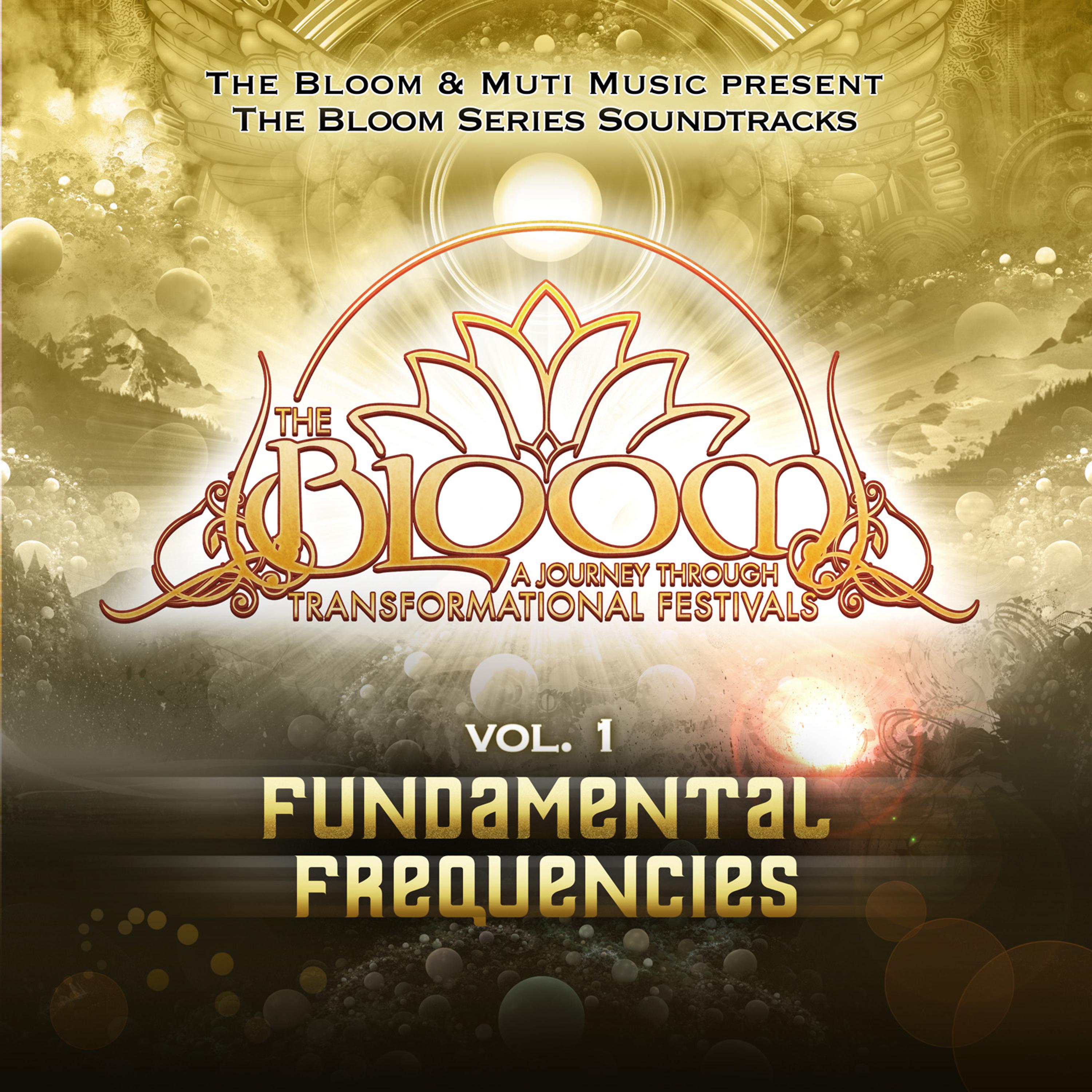 Постер альбома The Bloom Series Vol 1 : Fundamental Frequencies