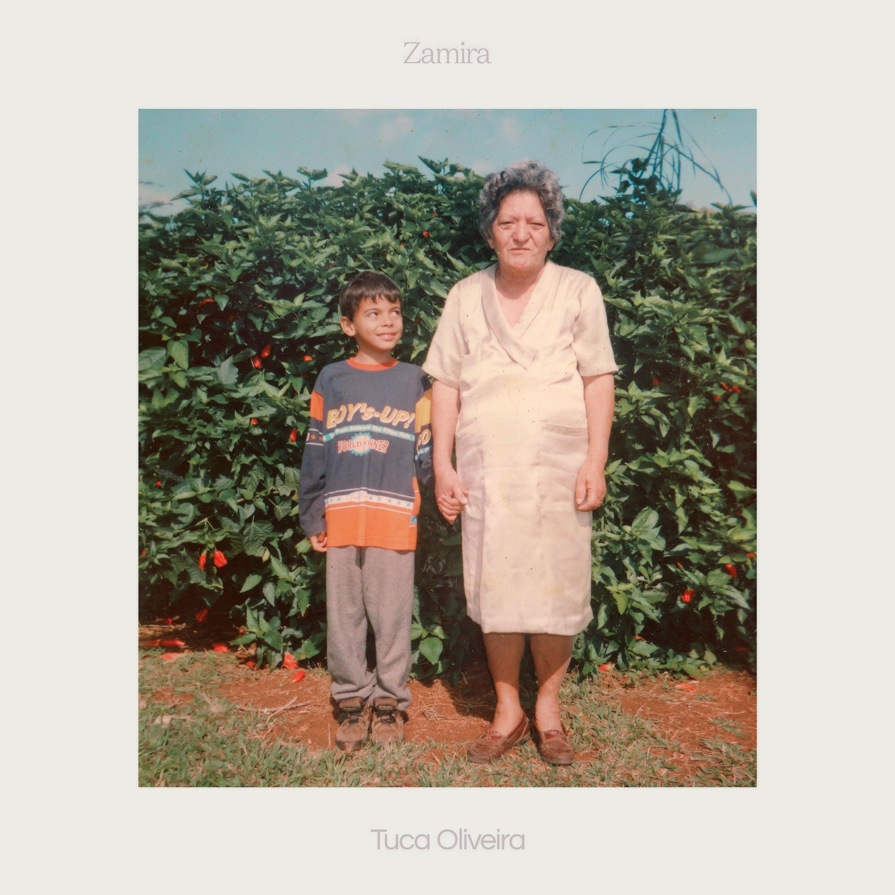Постер альбома Zamira