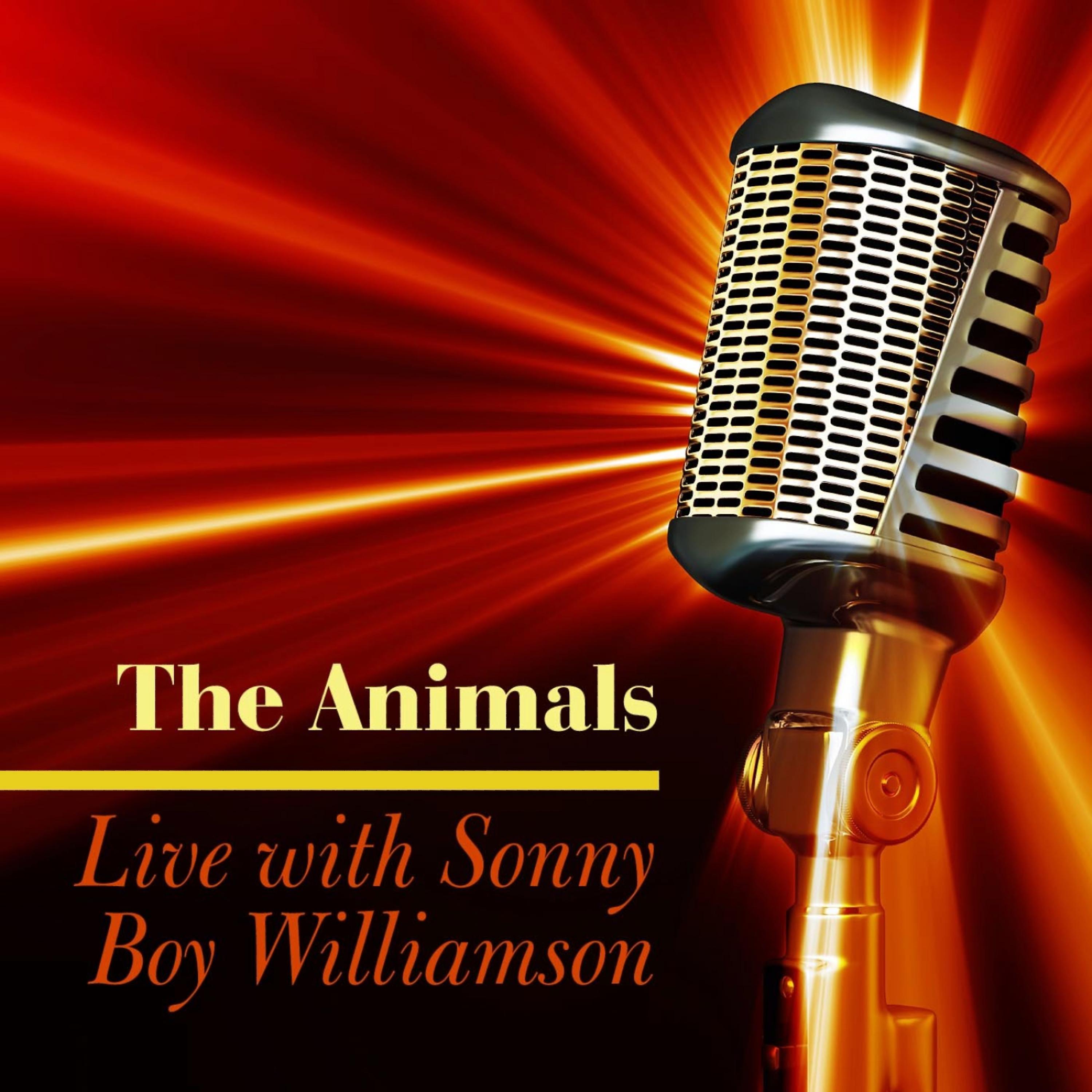 Постер альбома Live With Sonny Boy Williamson