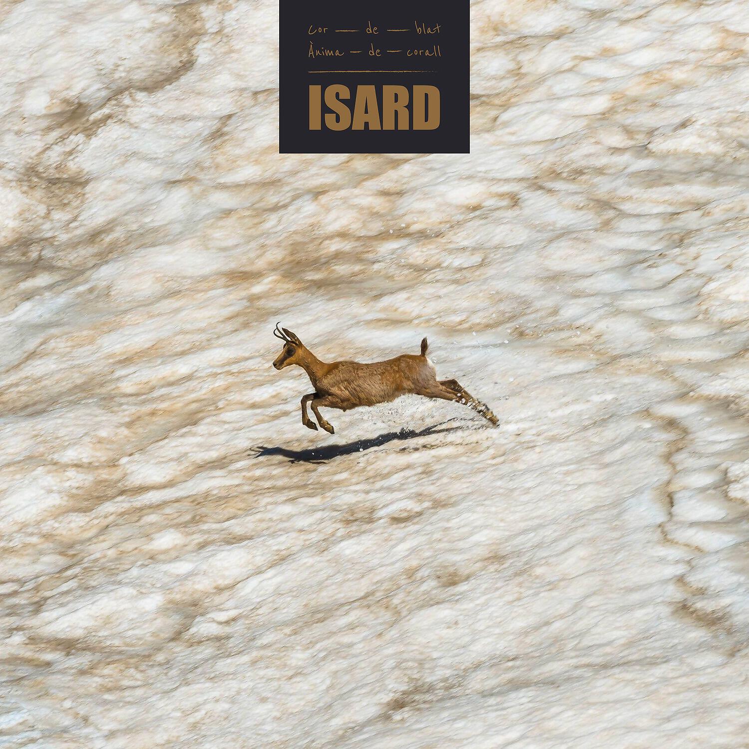Isard - Ànima de corall