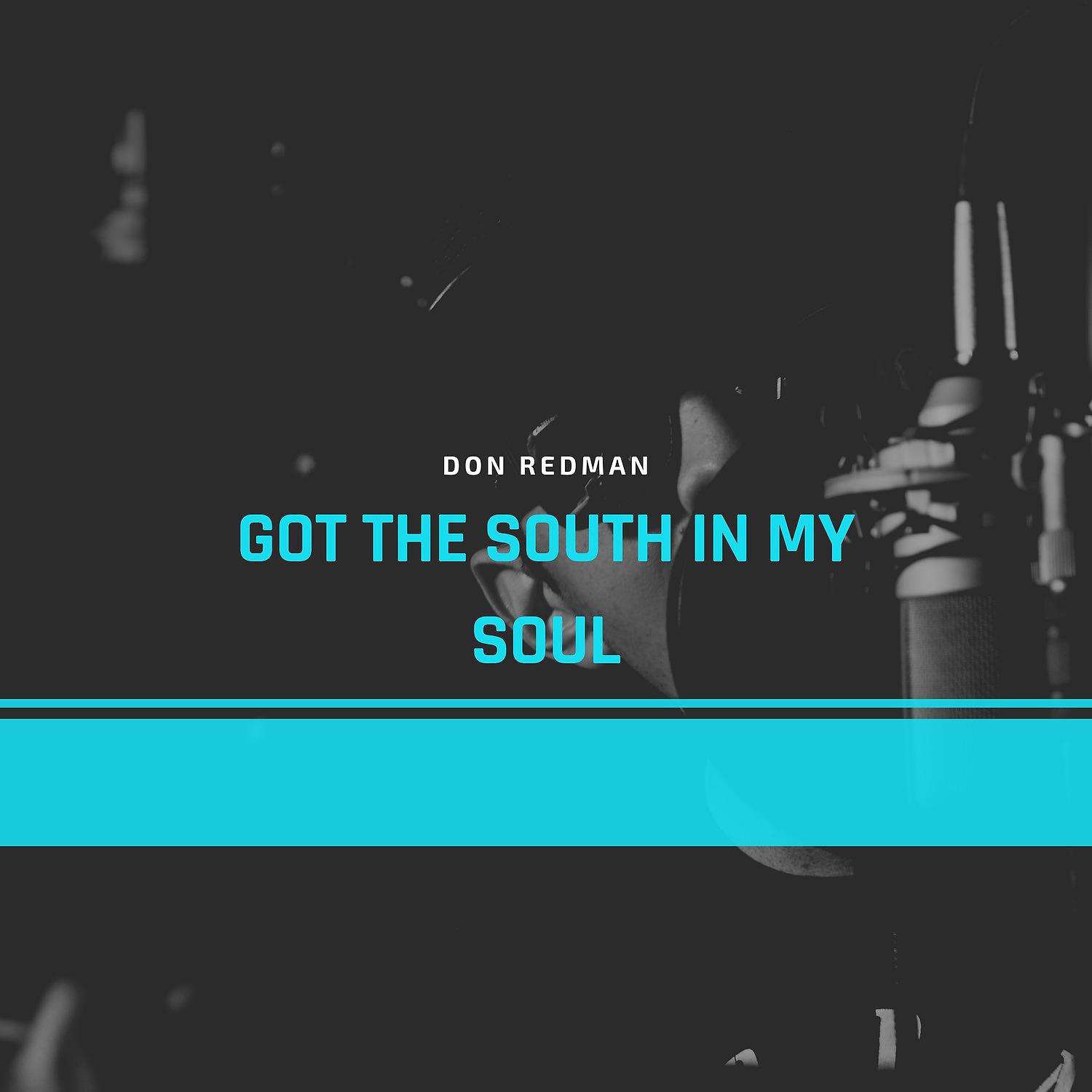 Постер альбома Got the South in My Soul
