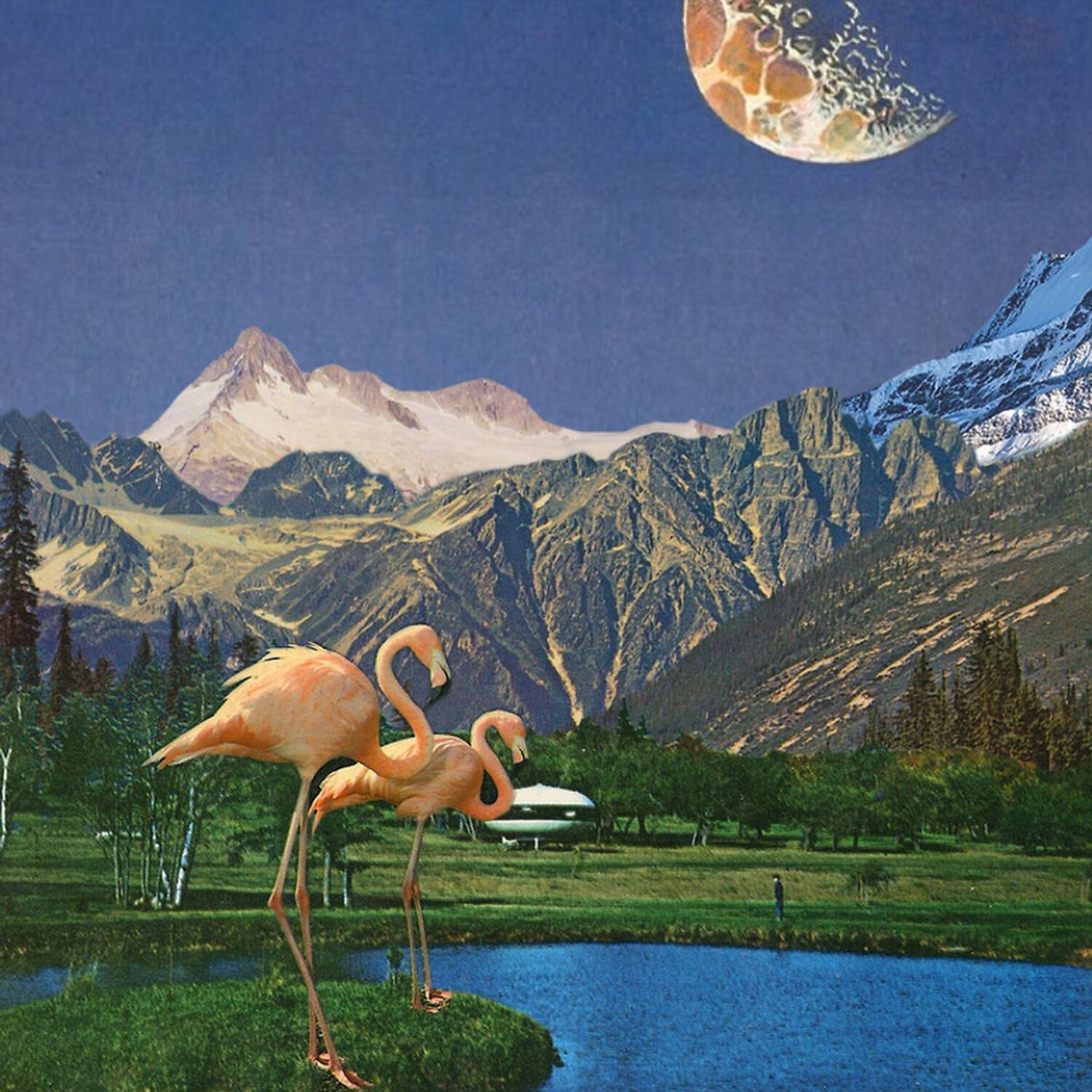 Ben Beal - Birds Aren't Real