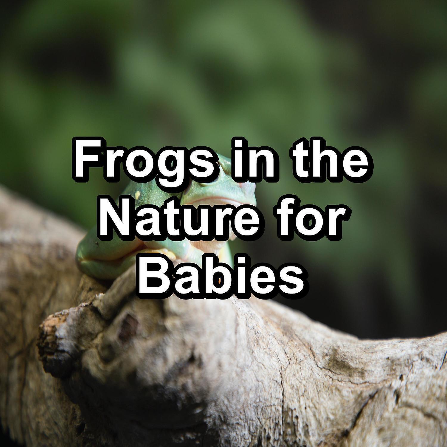 Organic Nature Sounds - Sleepy Frog Sounds