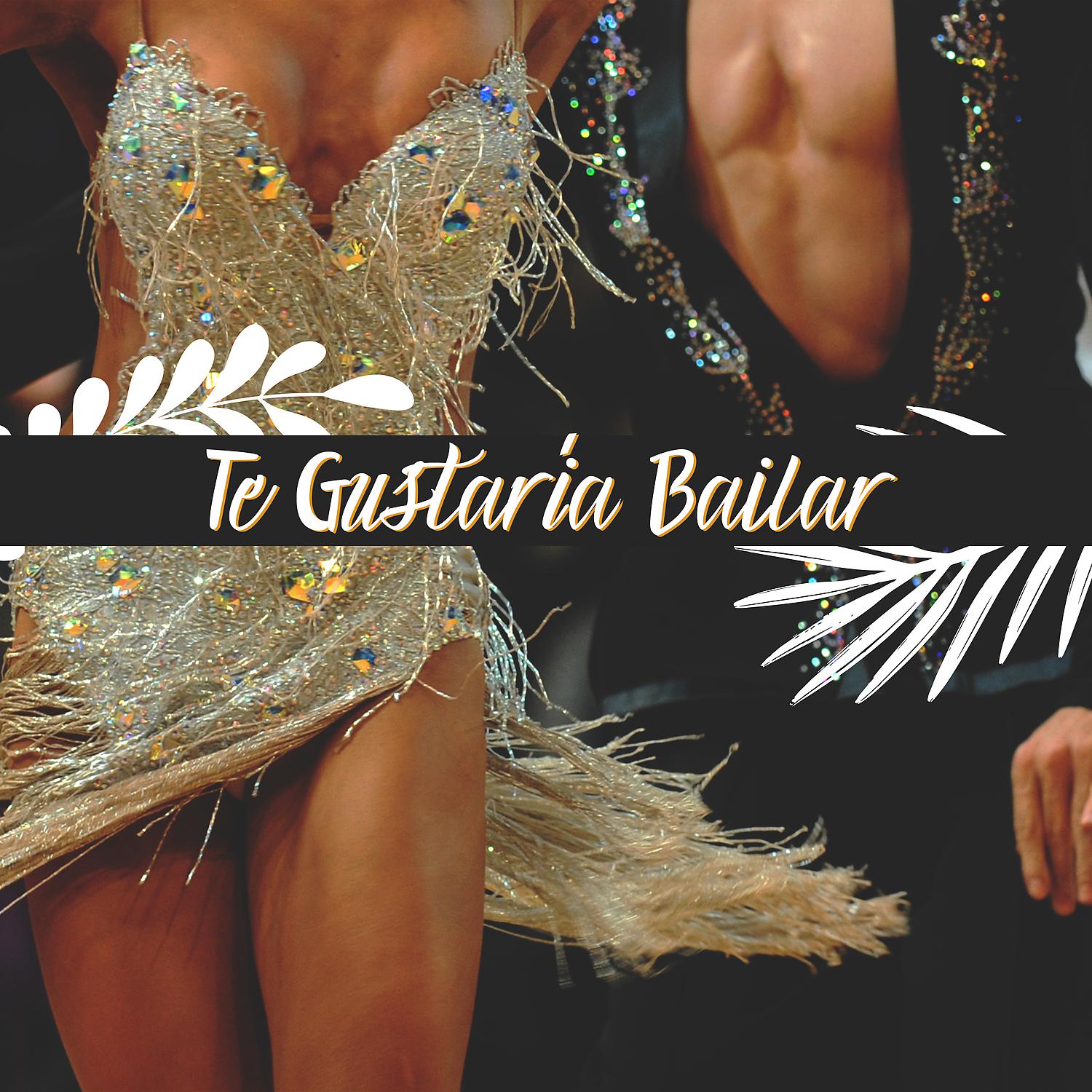 Постер альбома Te Gustaría Bailar