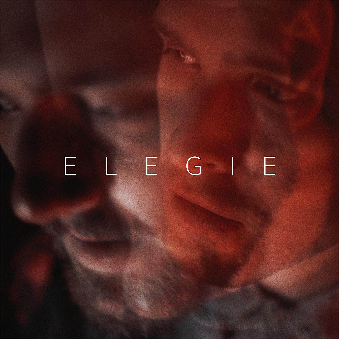 Постер альбома Elegie