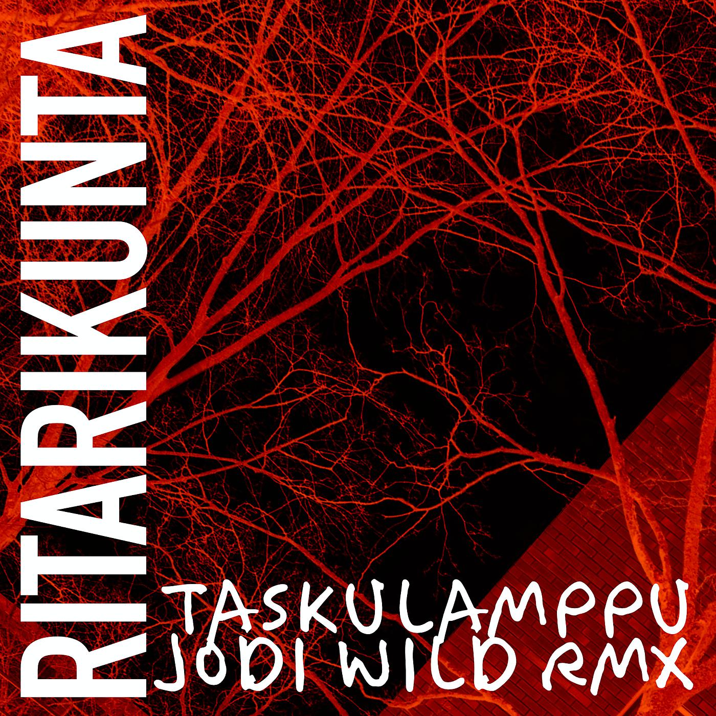 Постер альбома Taskulamppu