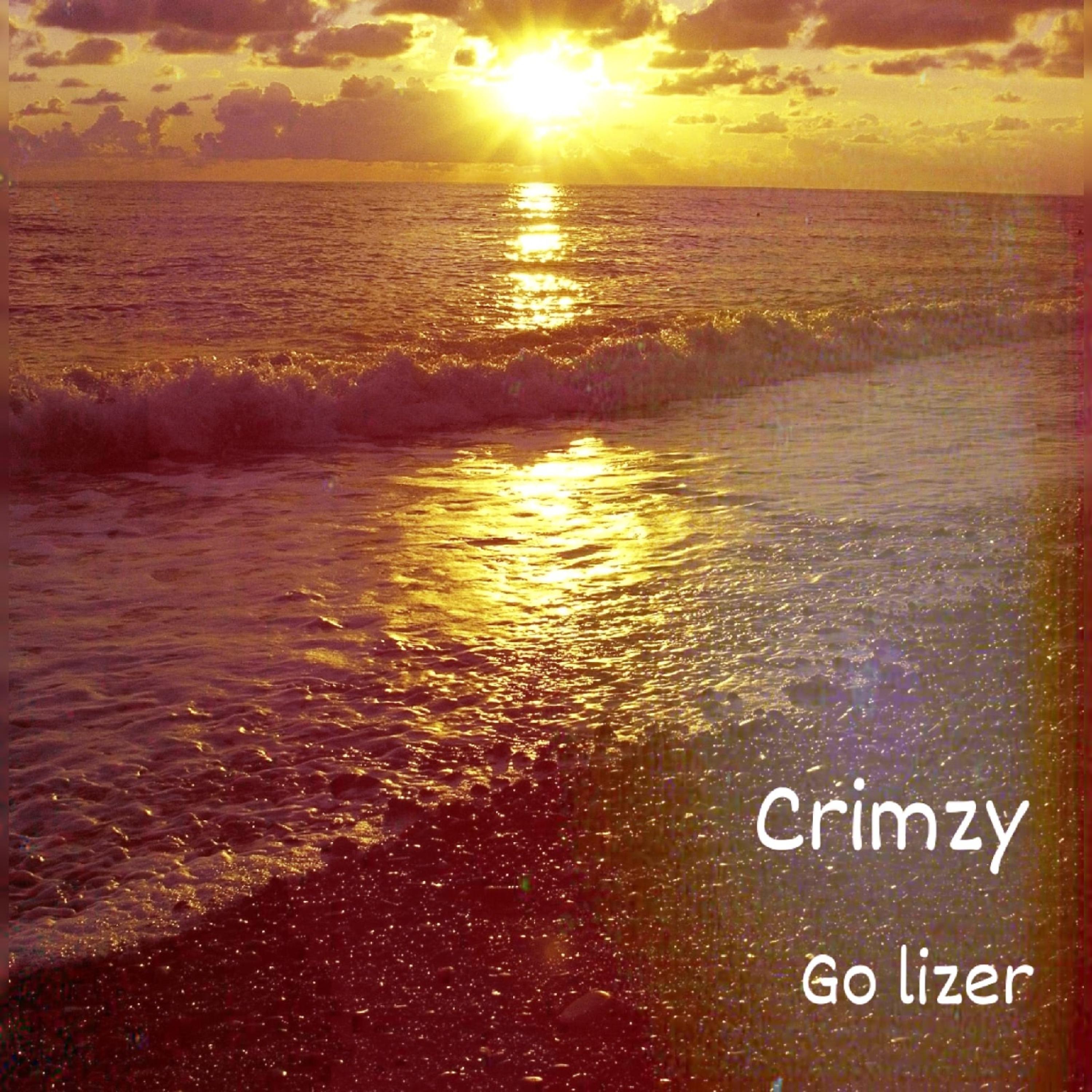 Постер альбома Go Lizer