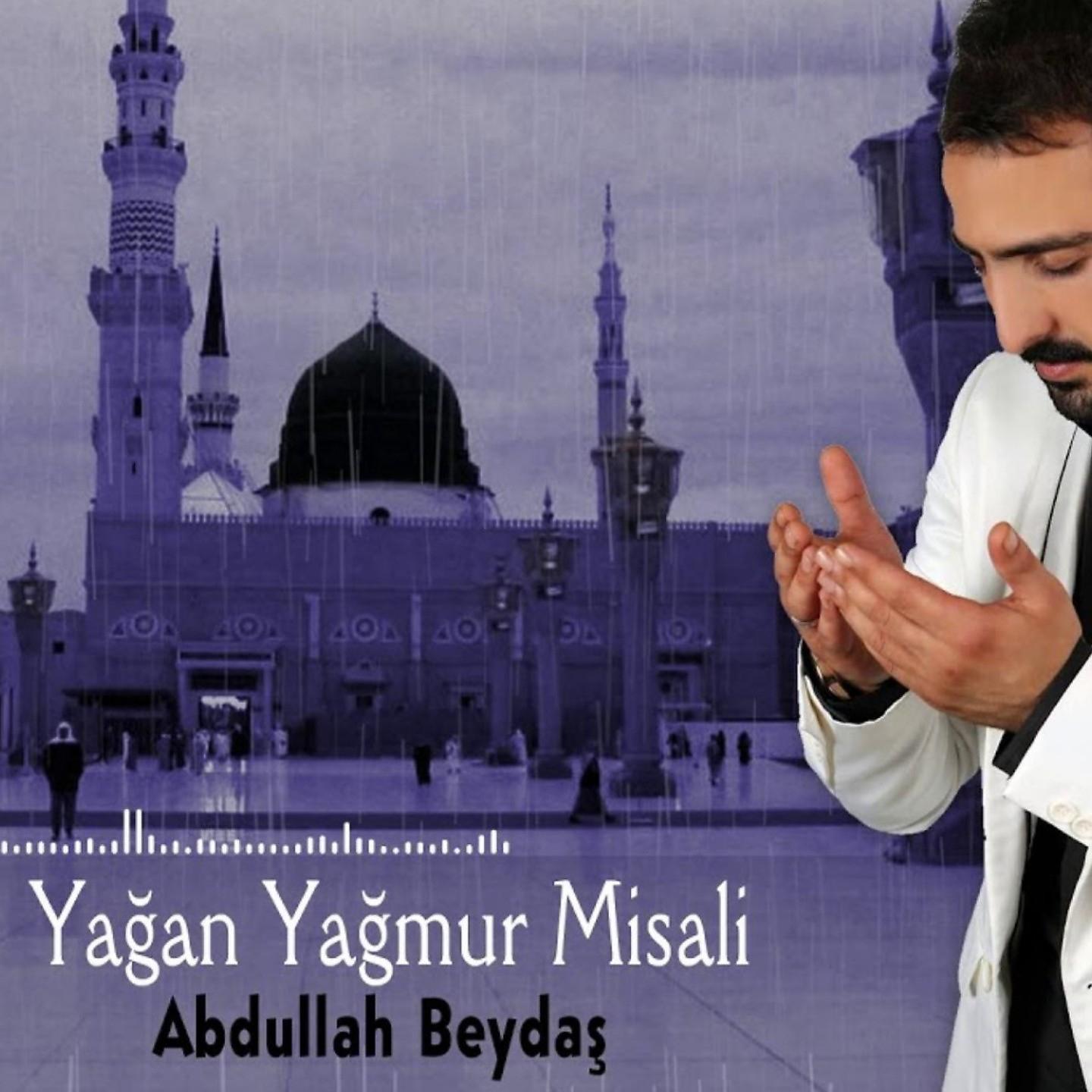 Постер альбома Yağan Yağmur Misali