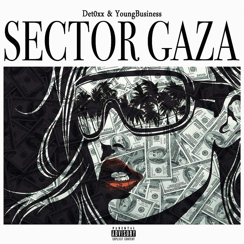 Постер альбома Sector Gaza (Prod. Nobeatz)
