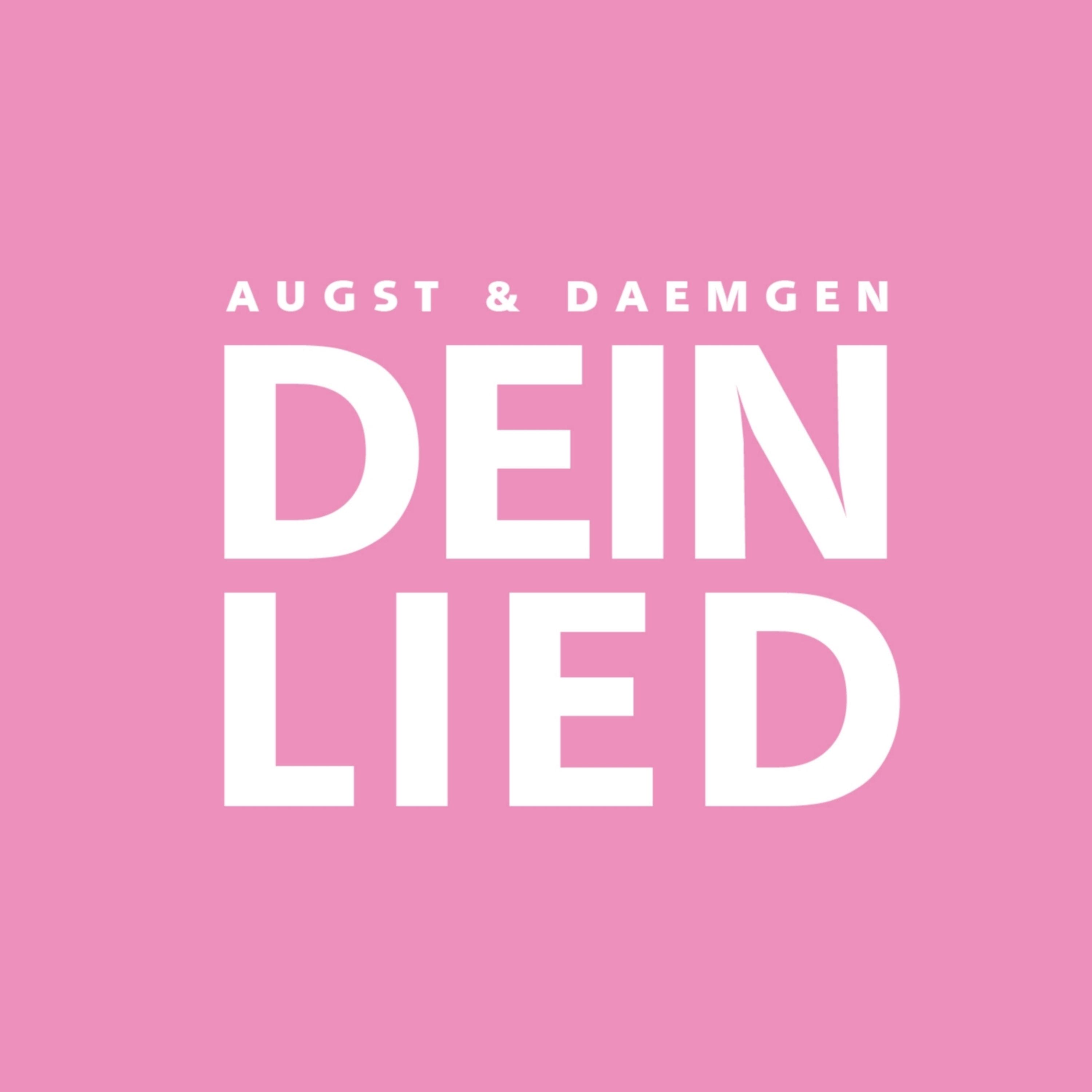 Постер альбома Dein Lied