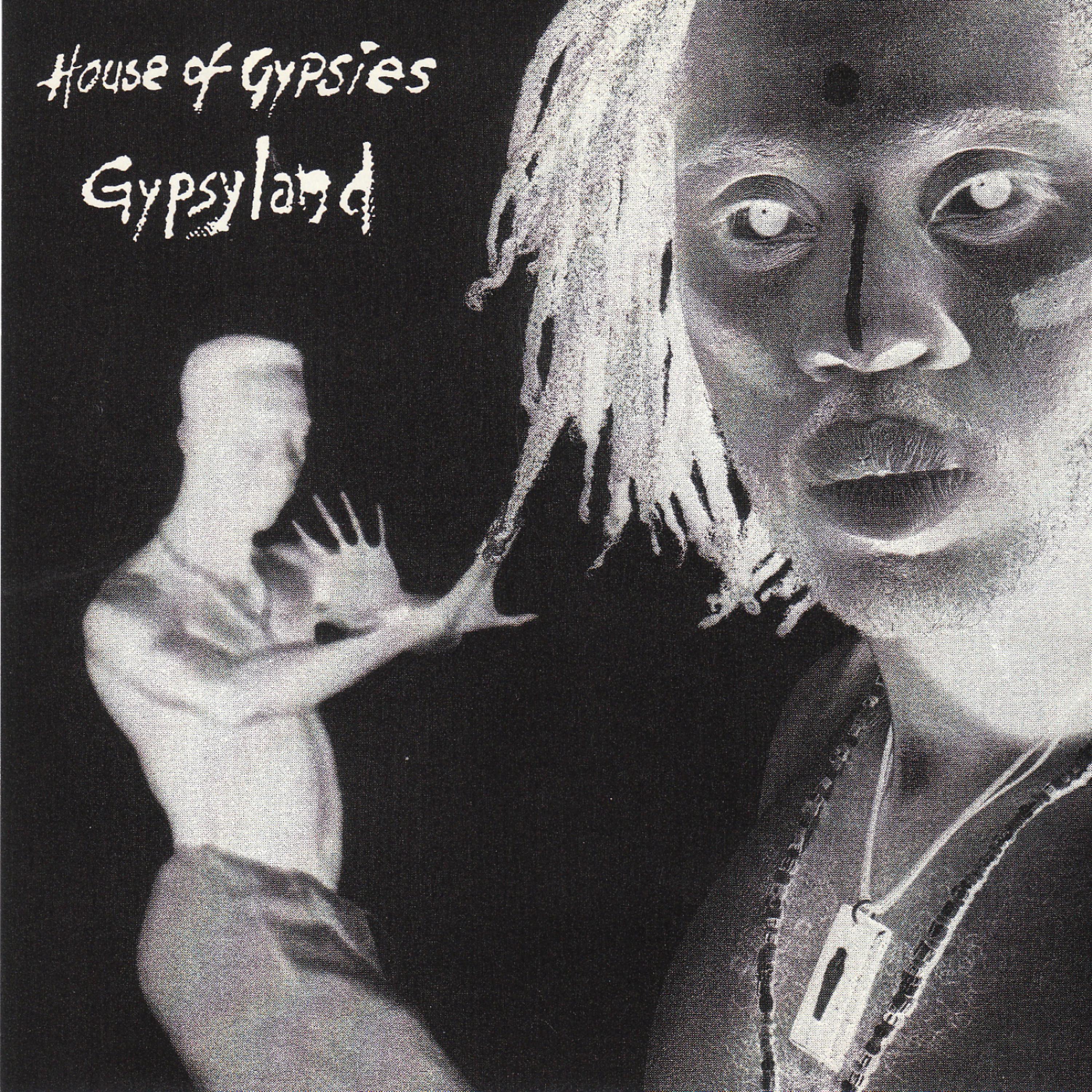 Постер альбома Gypsyland