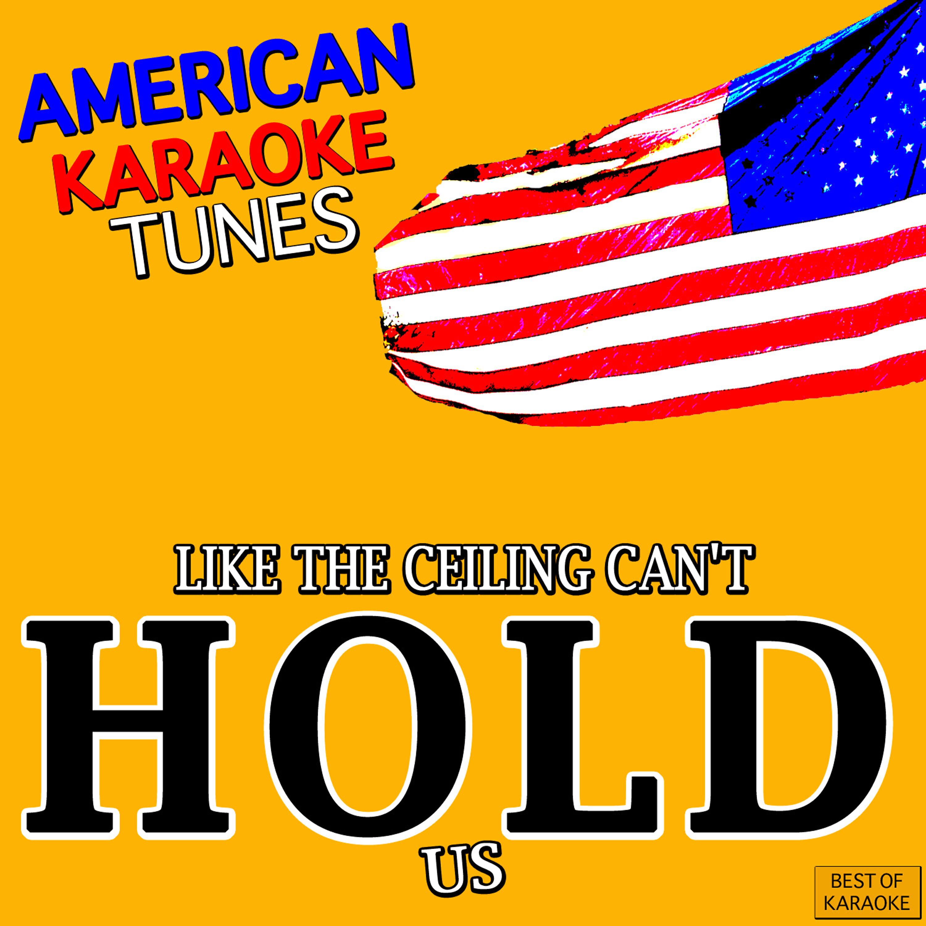 Ray Dalton - Can't Hold Us (Originally Performed by Macklemore & Ryan Lewis (Karaoke Version)