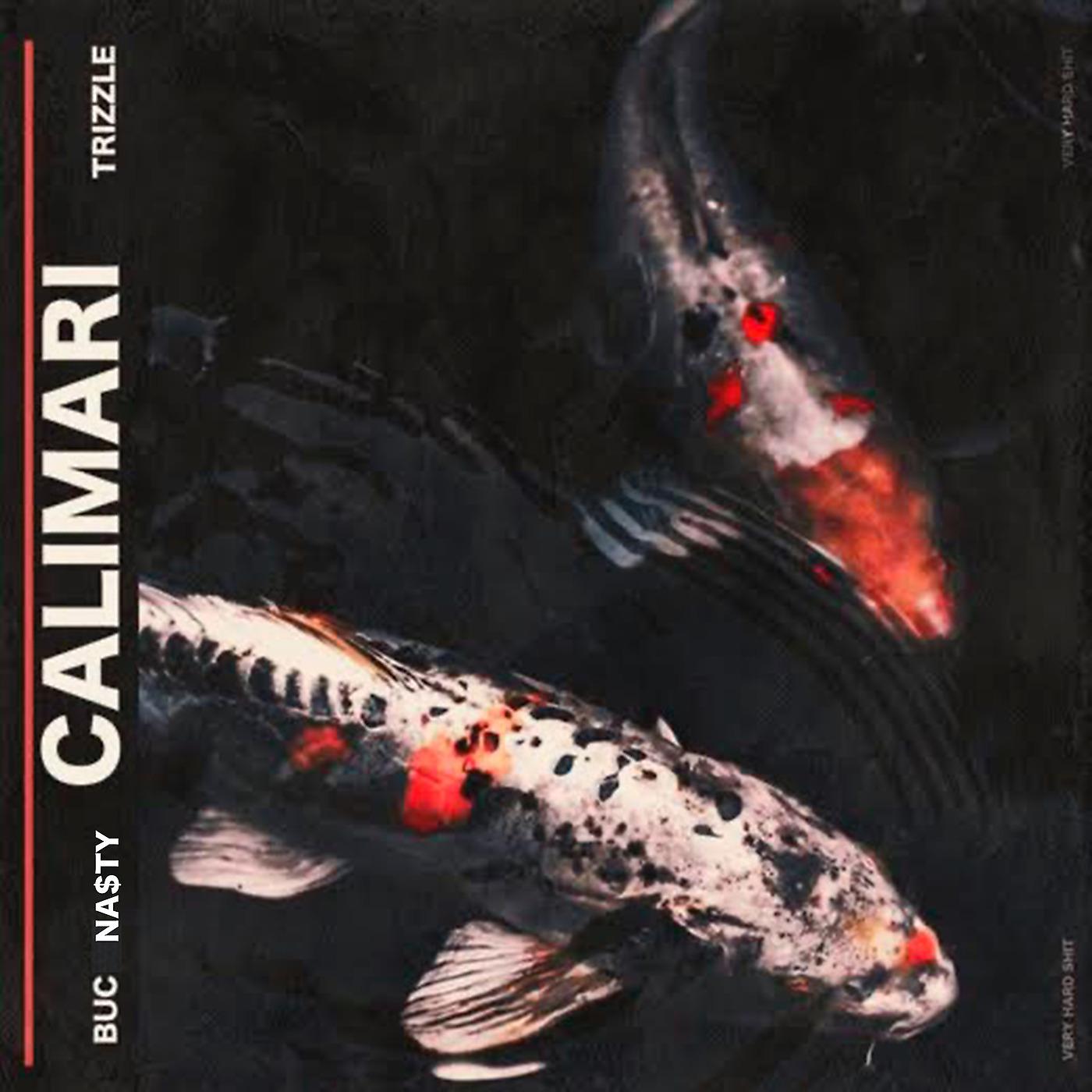 Постер альбома Calimari