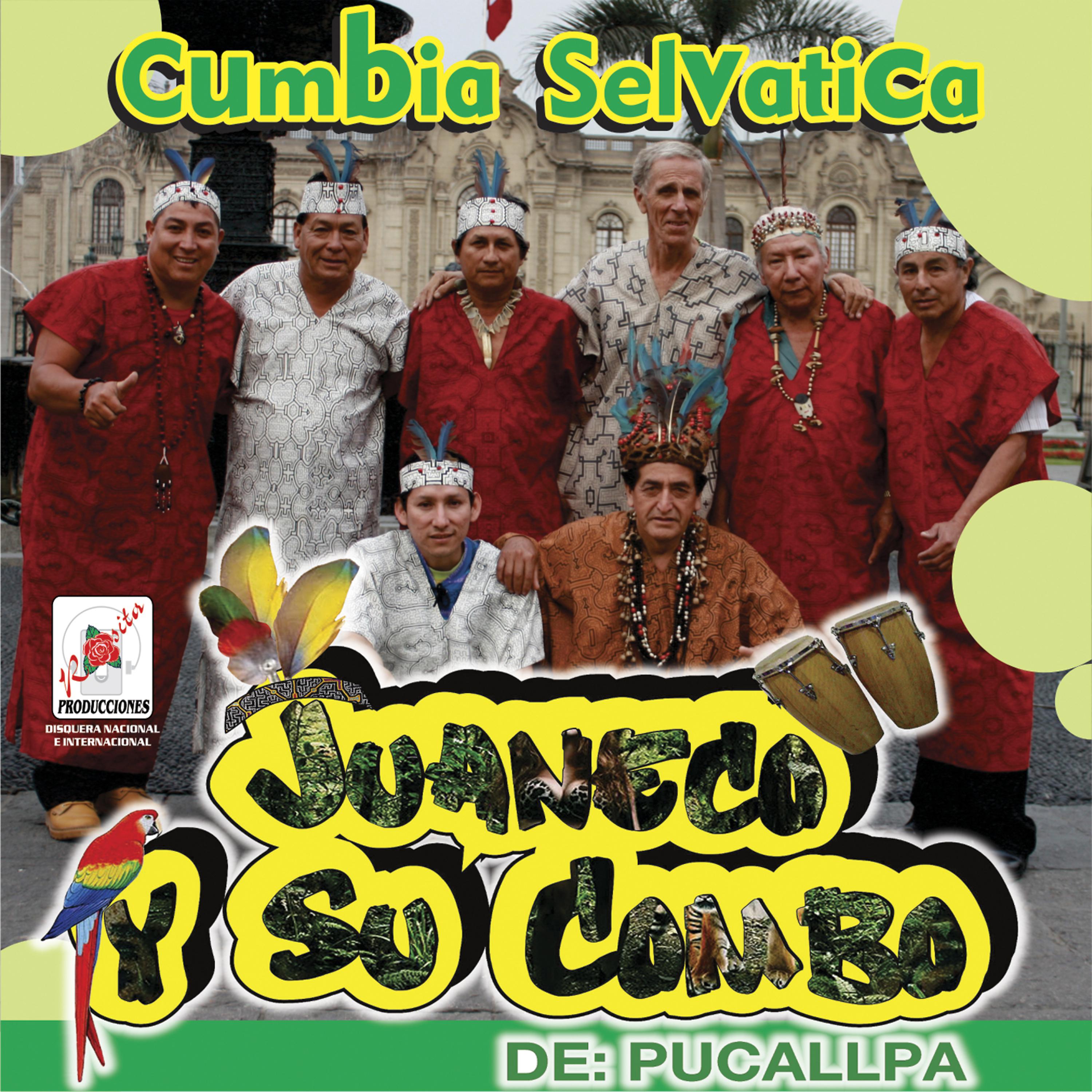 Постер альбома Cumbia Selvatica