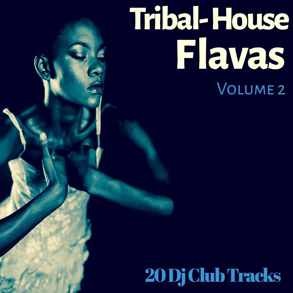 Постер альбома Tribal House Flavas, Vol. 2 (20 DJ Club Tracks)